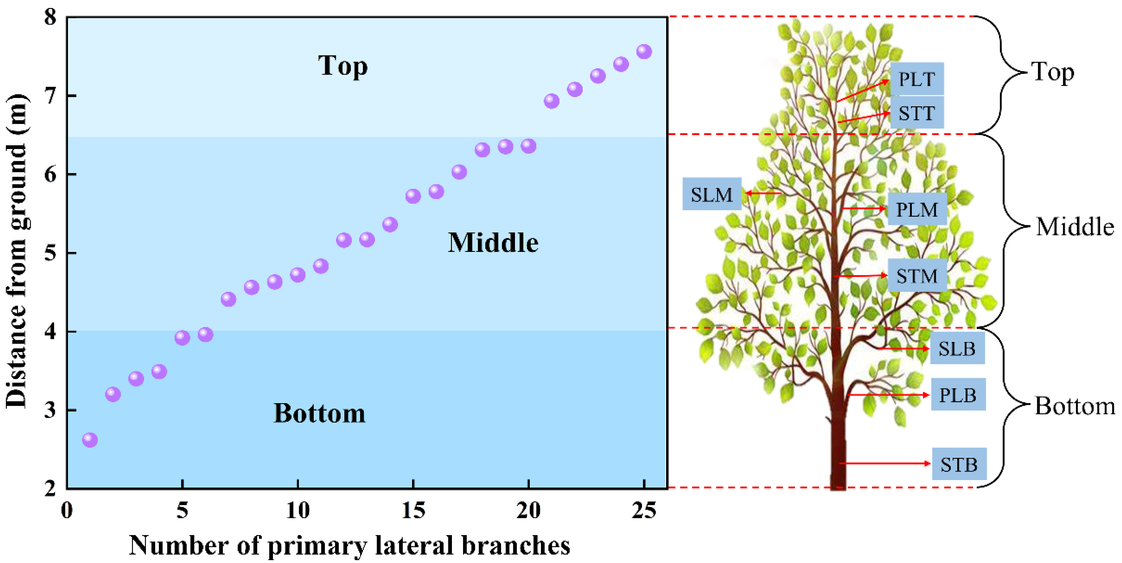 Forests 14 02338 g002