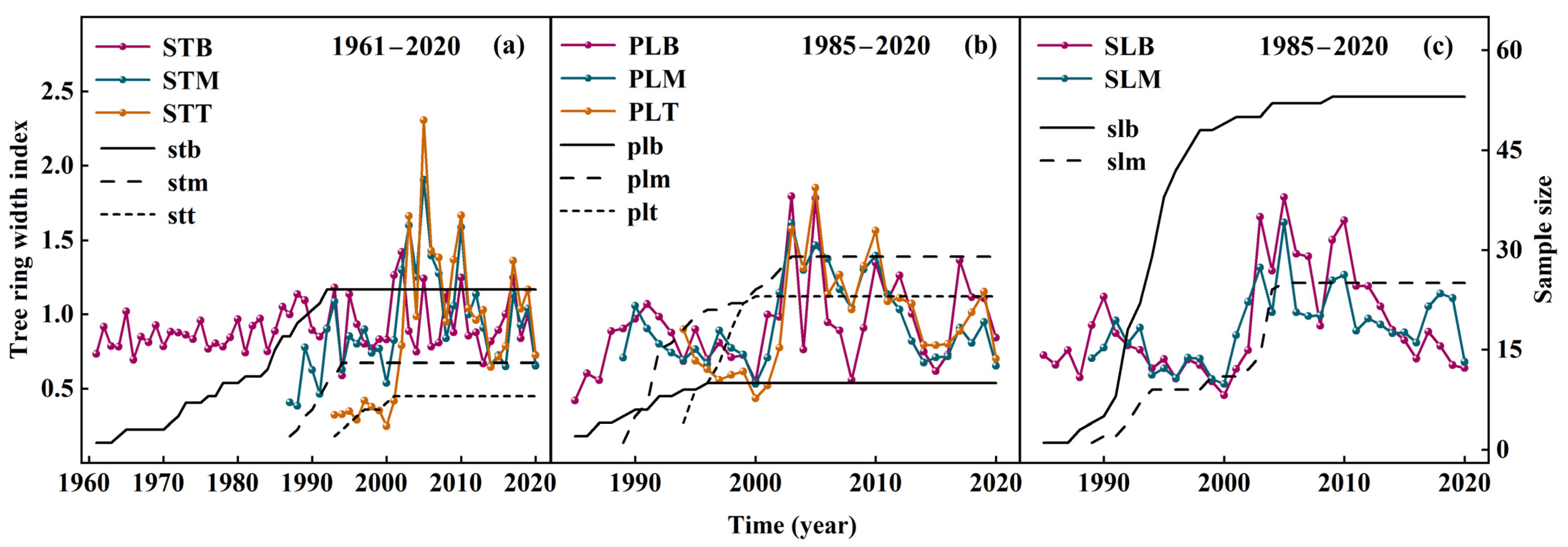 Forests 14 02338 g007