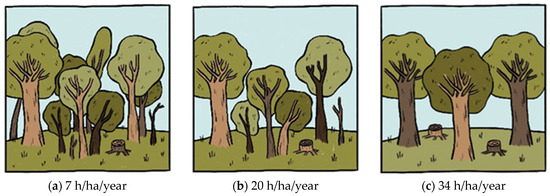 Forests 14 02346 g0a1