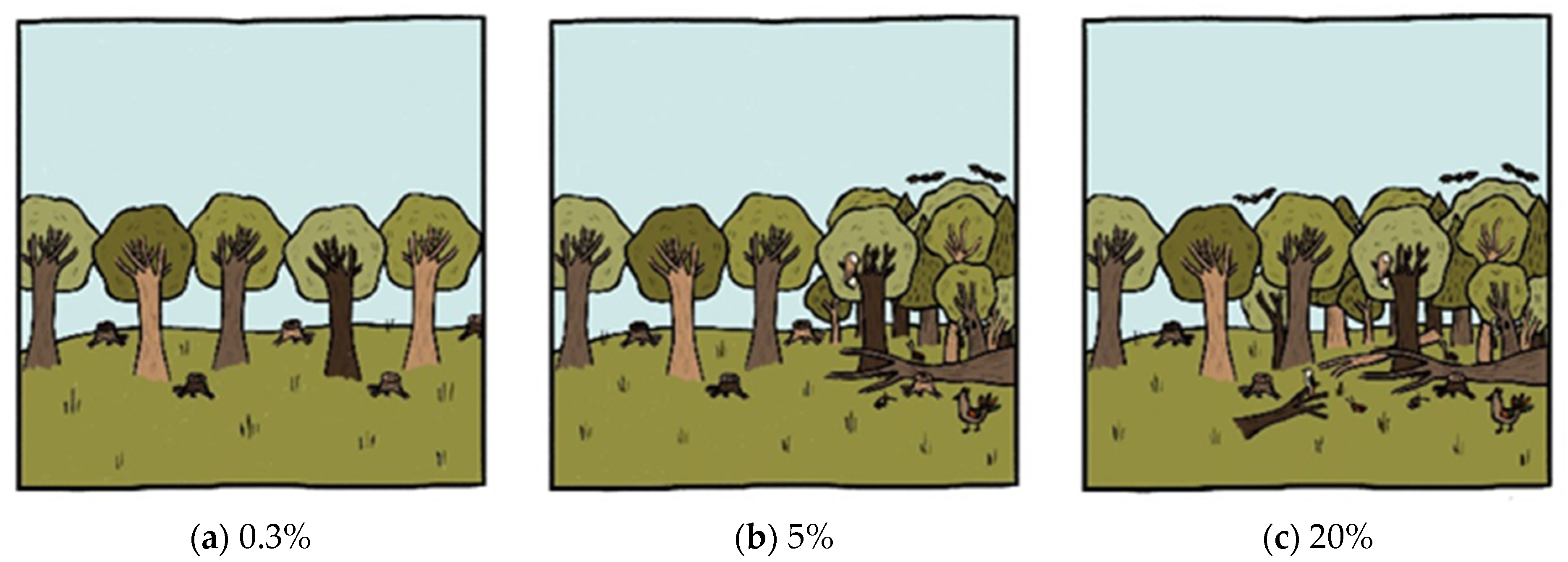 Forests 14 02346 g0a4