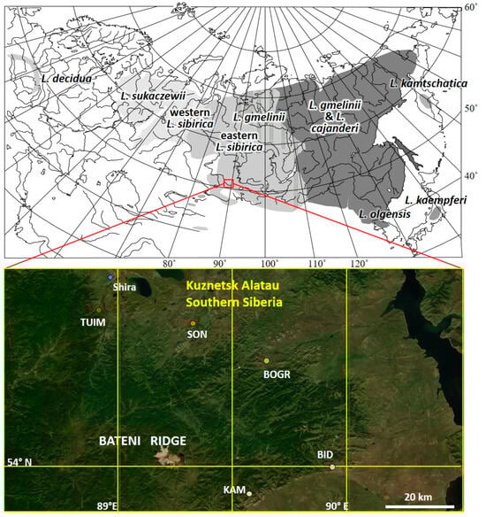 Forests 14 02358 g001
