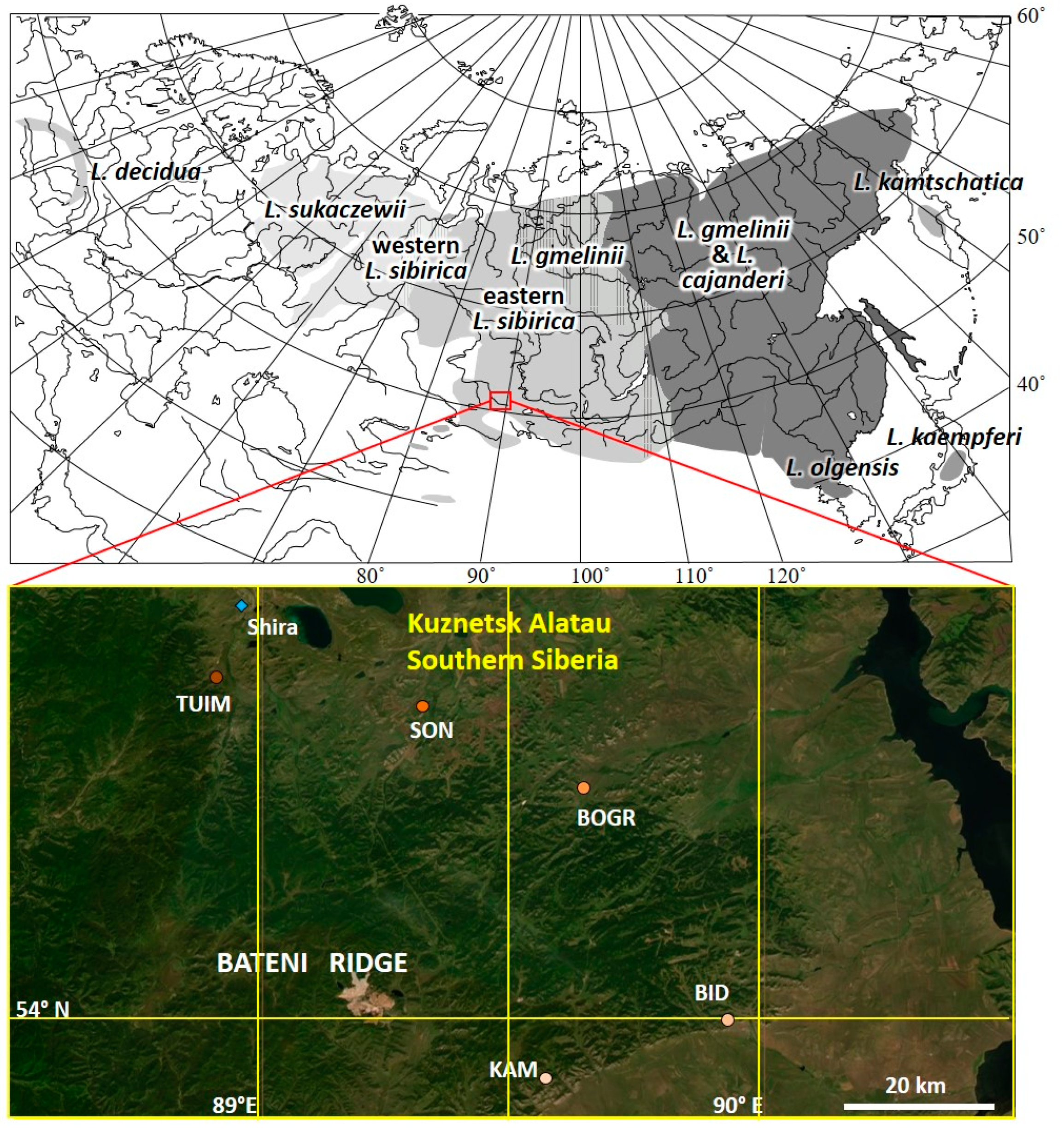 Forests 14 02358 g001
