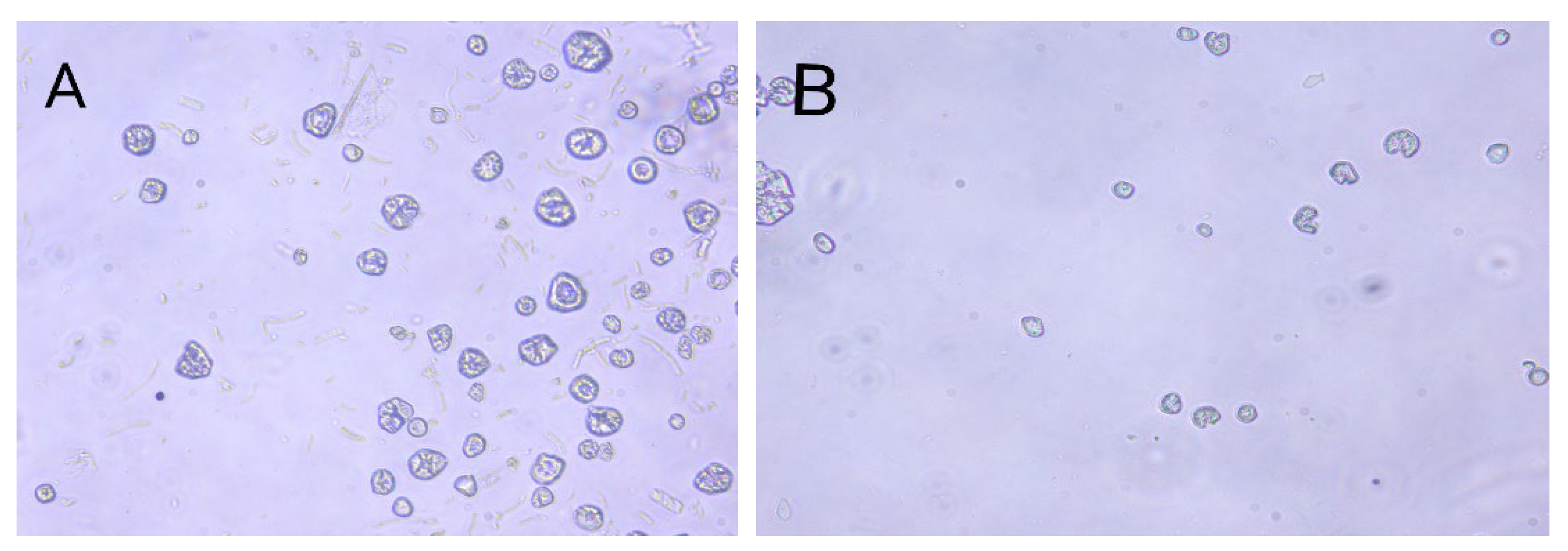 Forests 14 02365 g001