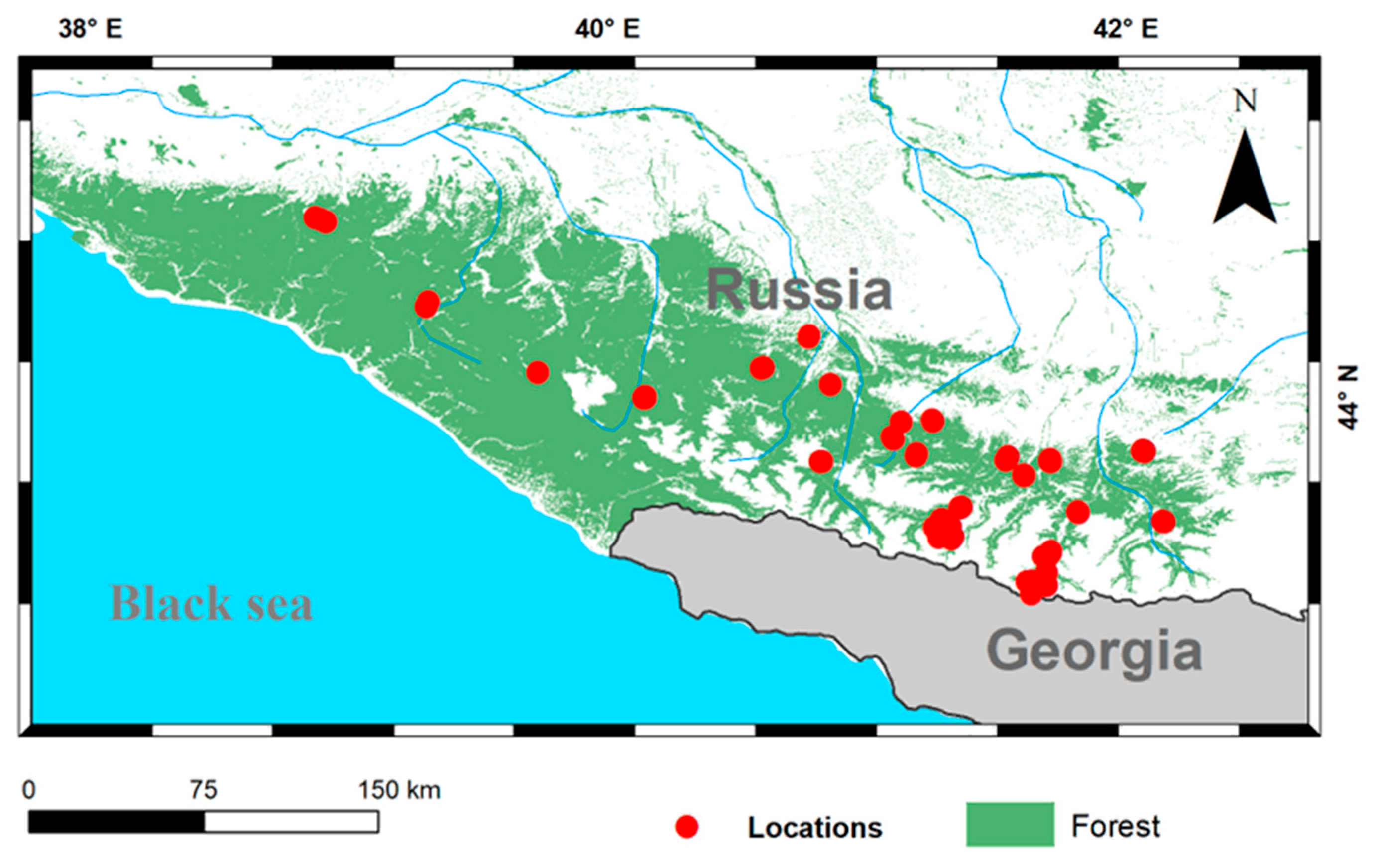 Forests 14 02367 g001