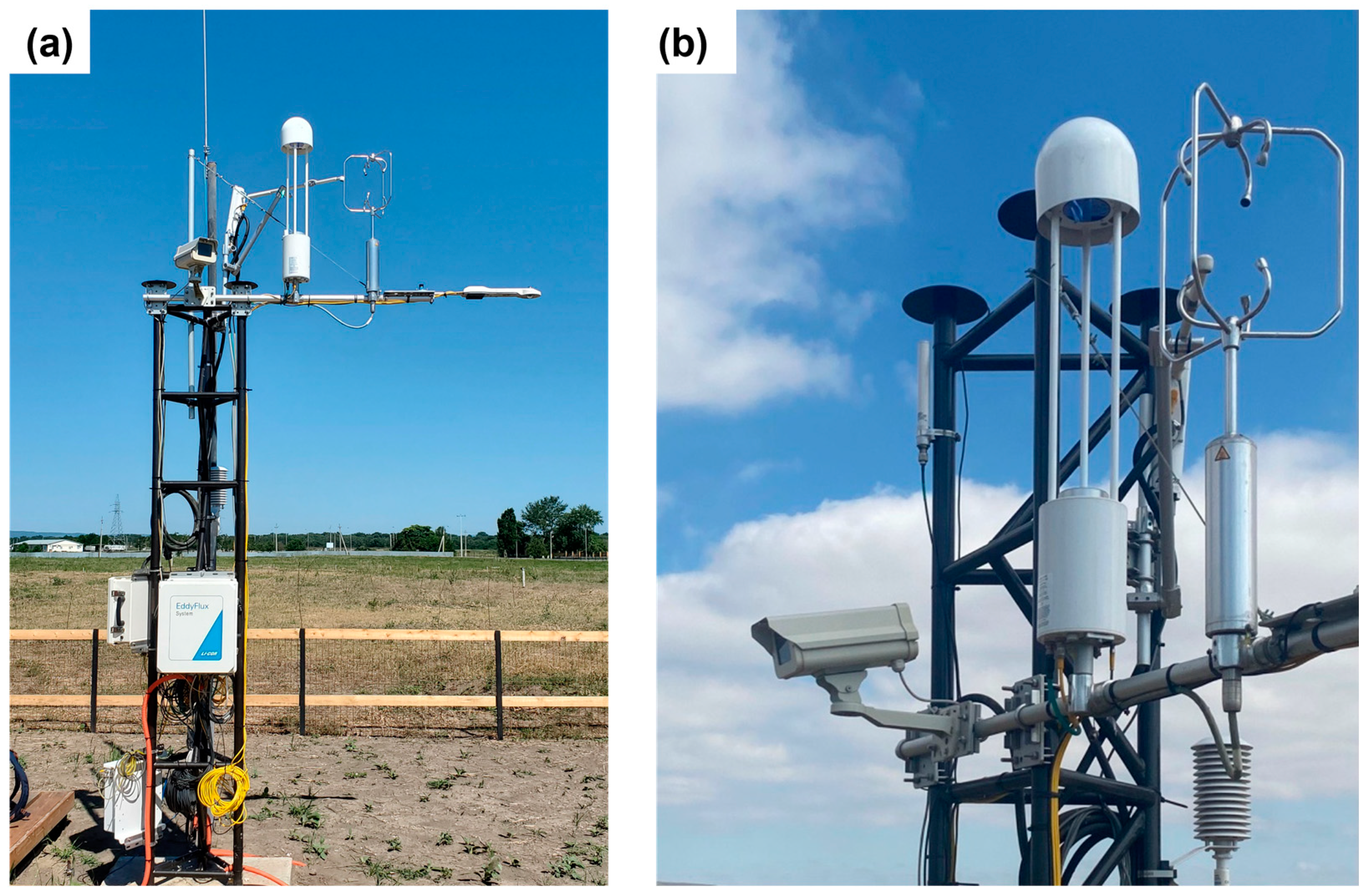 Forests 14 02368 g002