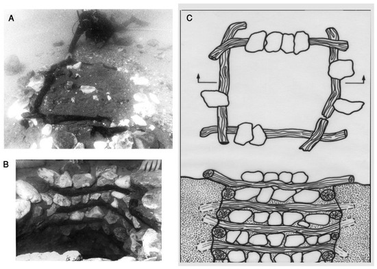 Forests 14 02373 g005