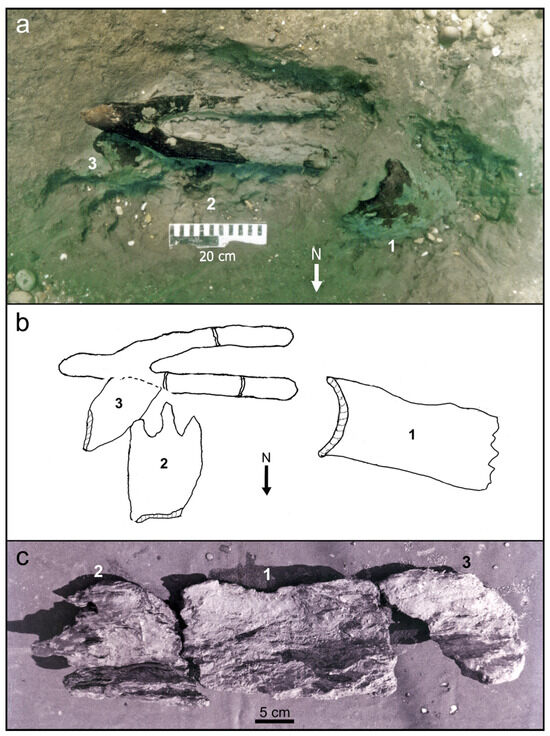 Forests 14 02373 g010
