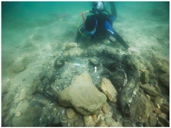 Forests 14 02373 g013