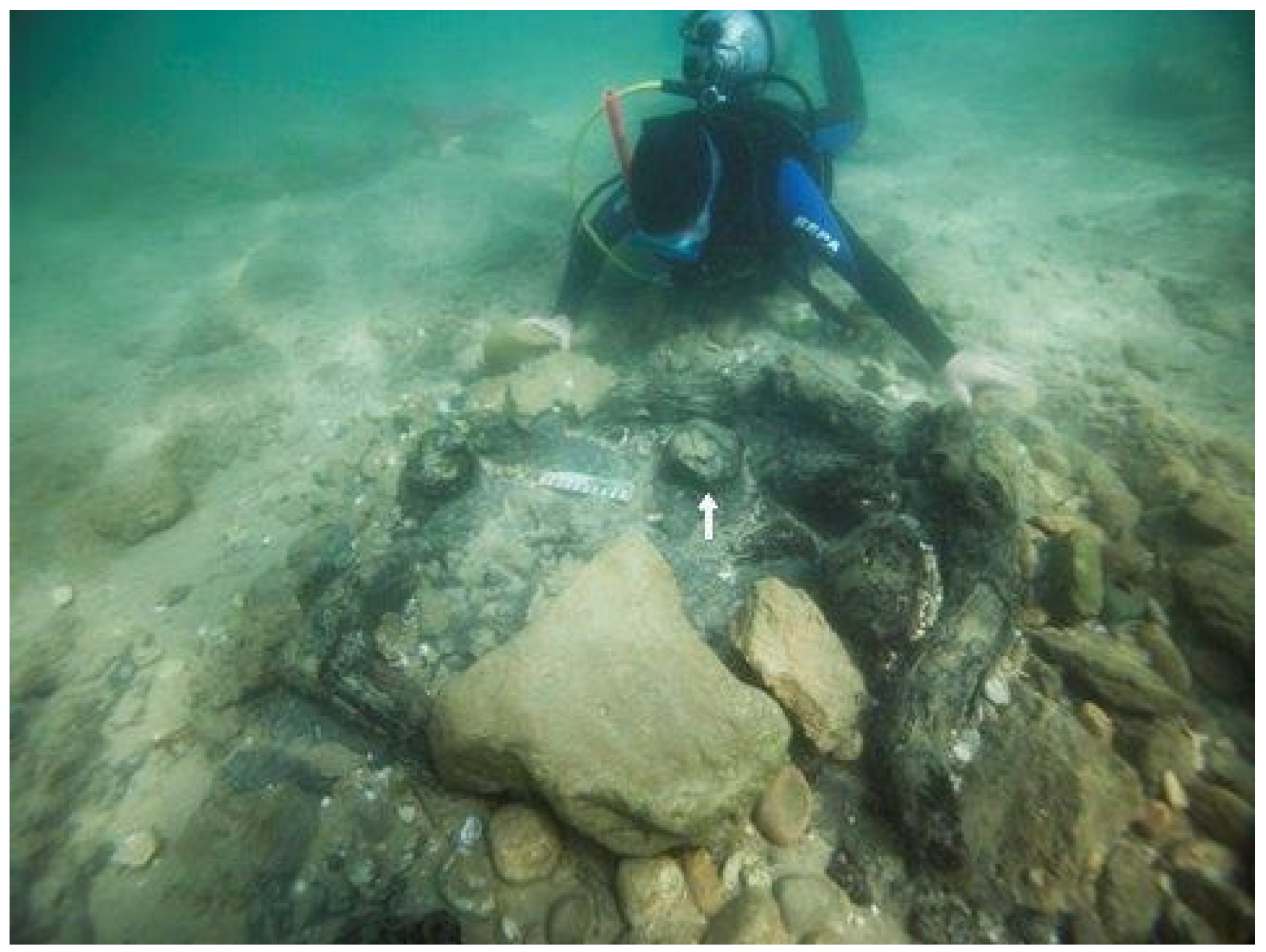 Forests 14 02373 g013