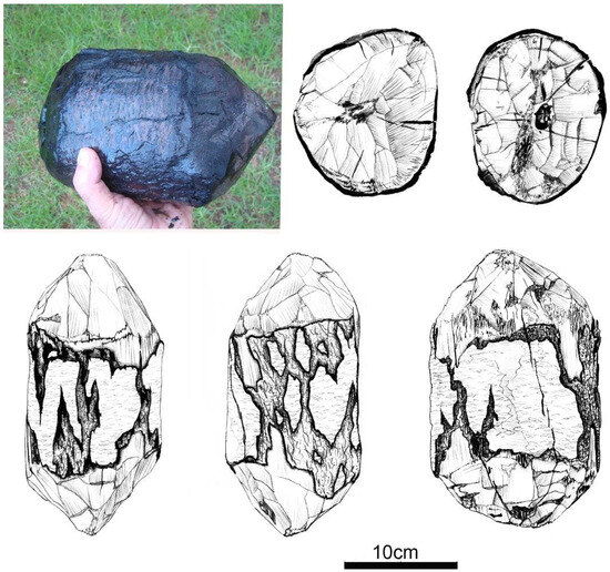 Forests 14 02373 g014