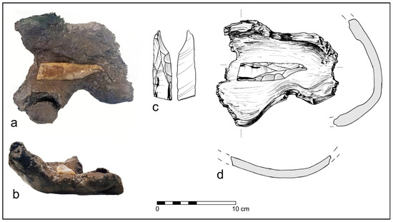 Forests 14 02373 g015
