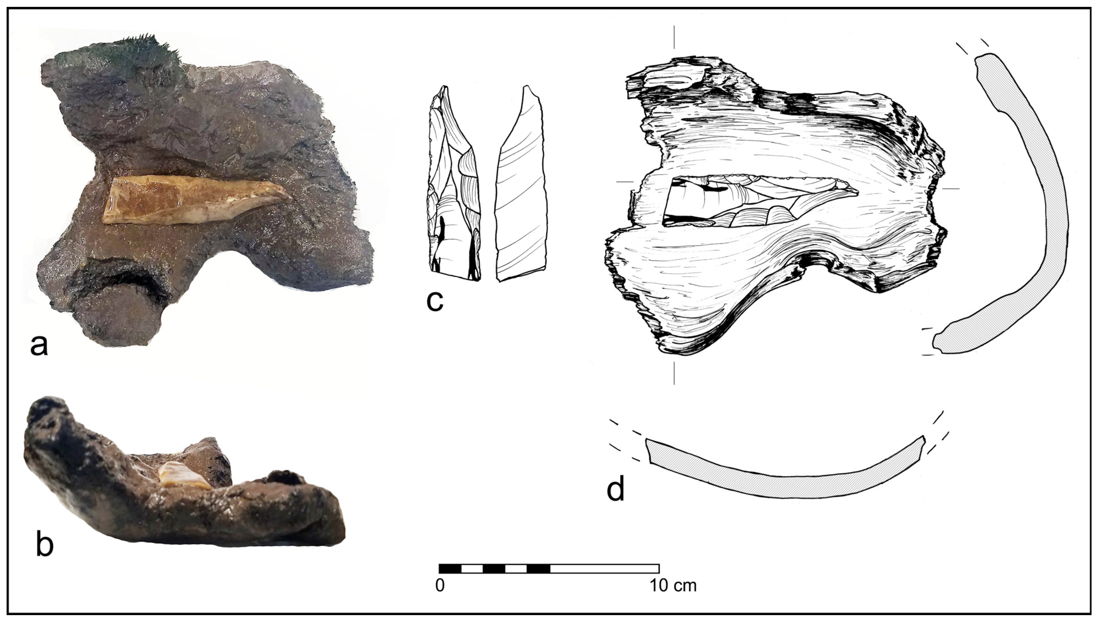 Forests 14 02373 g015