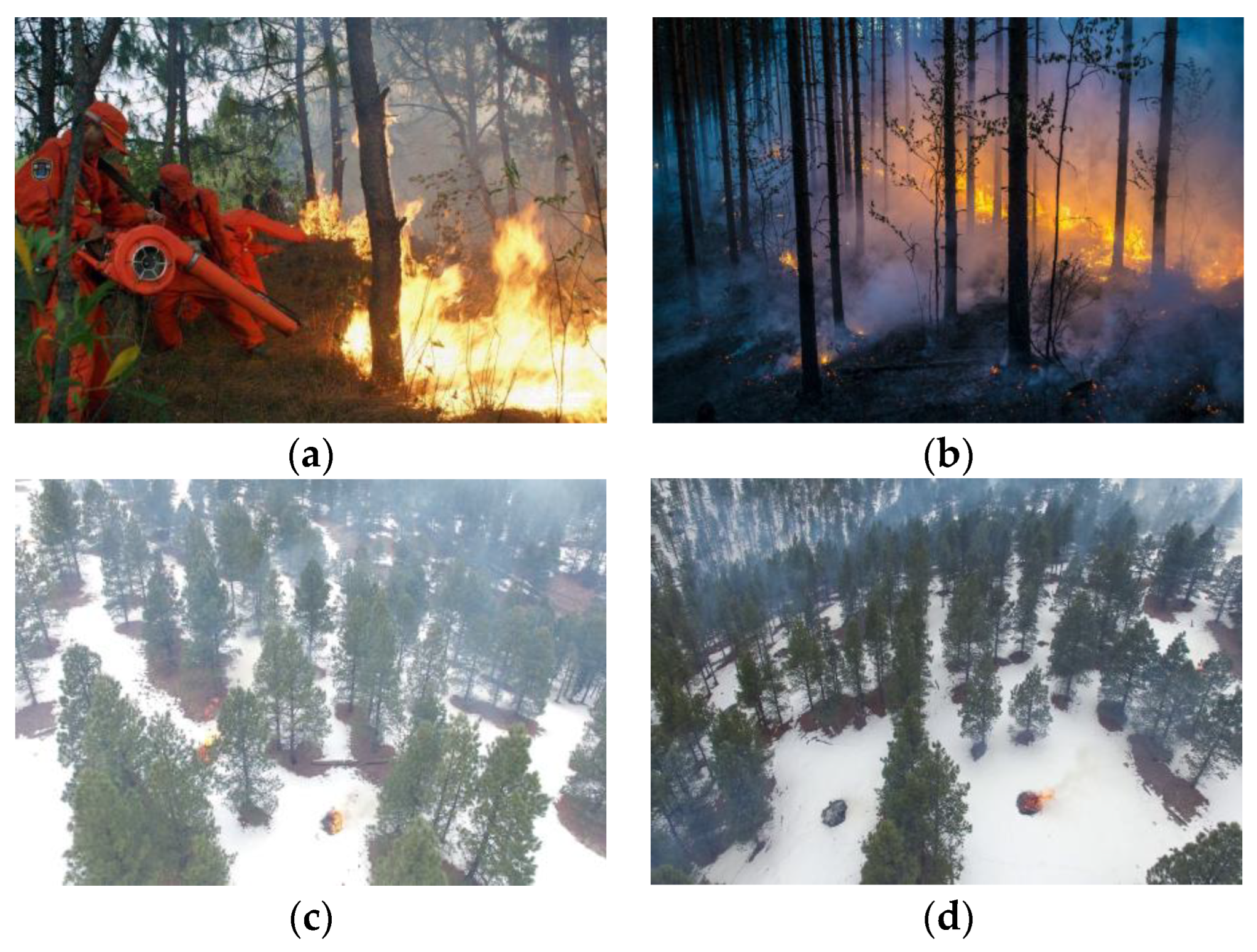 Forests 14 02377 g001