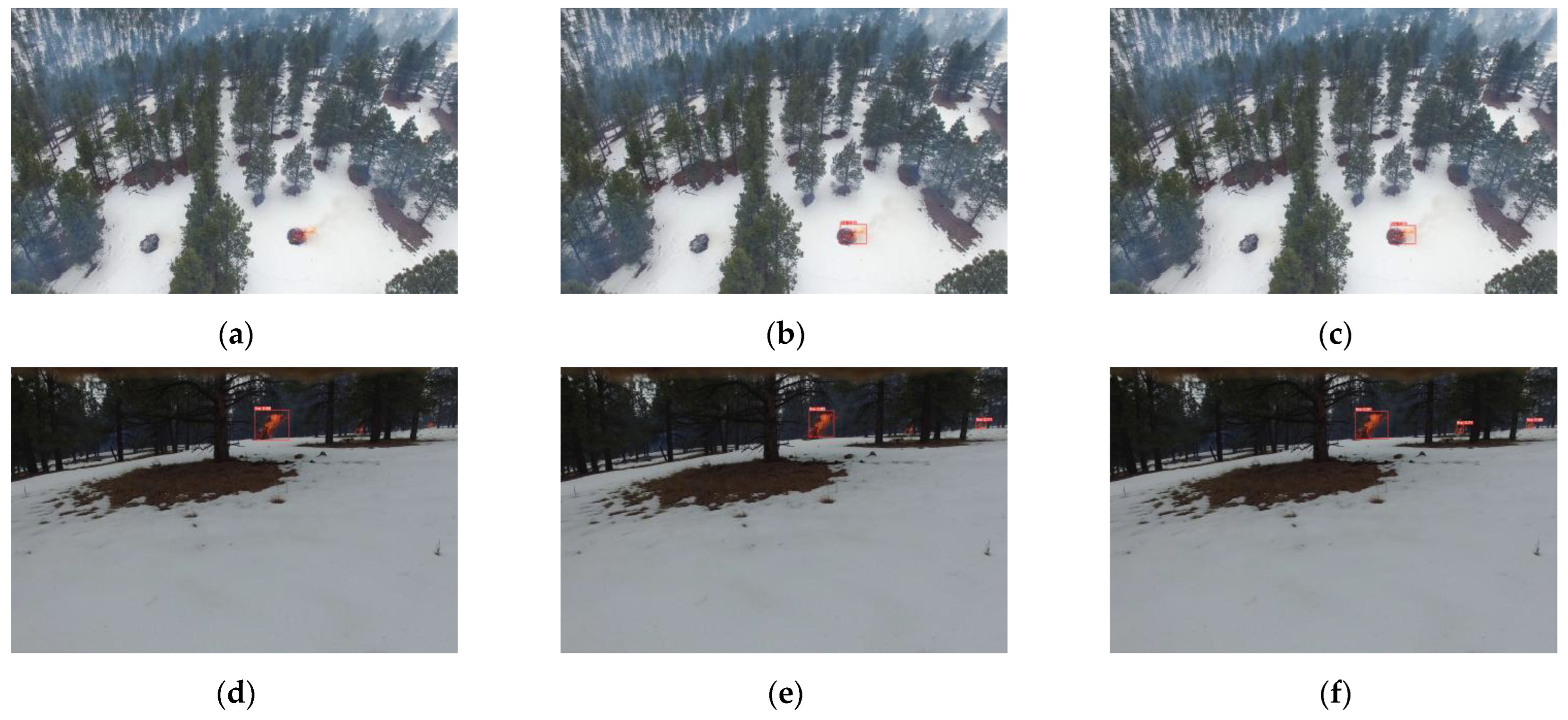 Forests 14 02377 g012