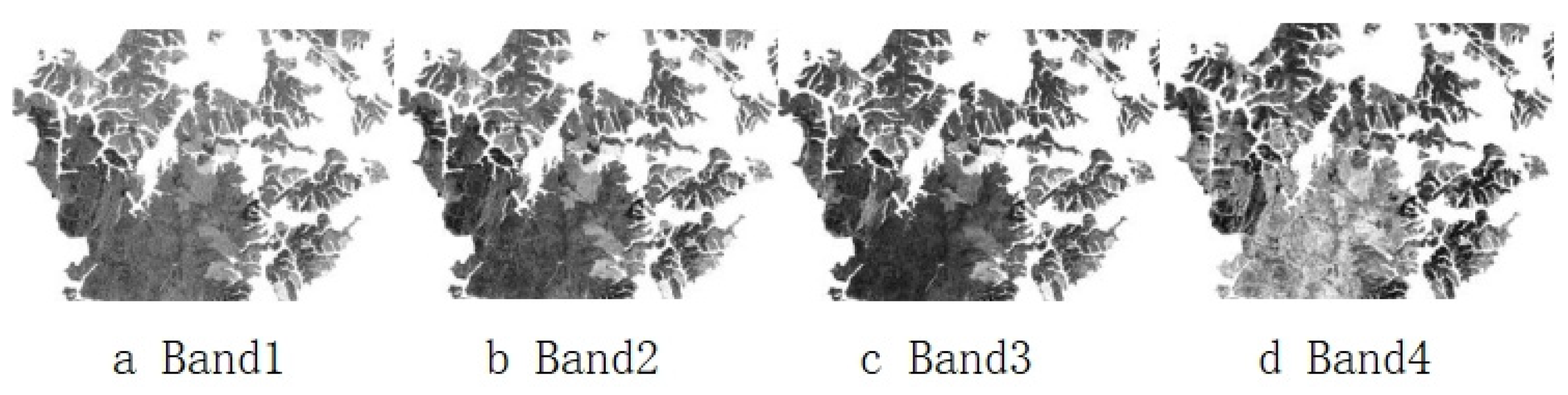 Forests 14 02388 g003