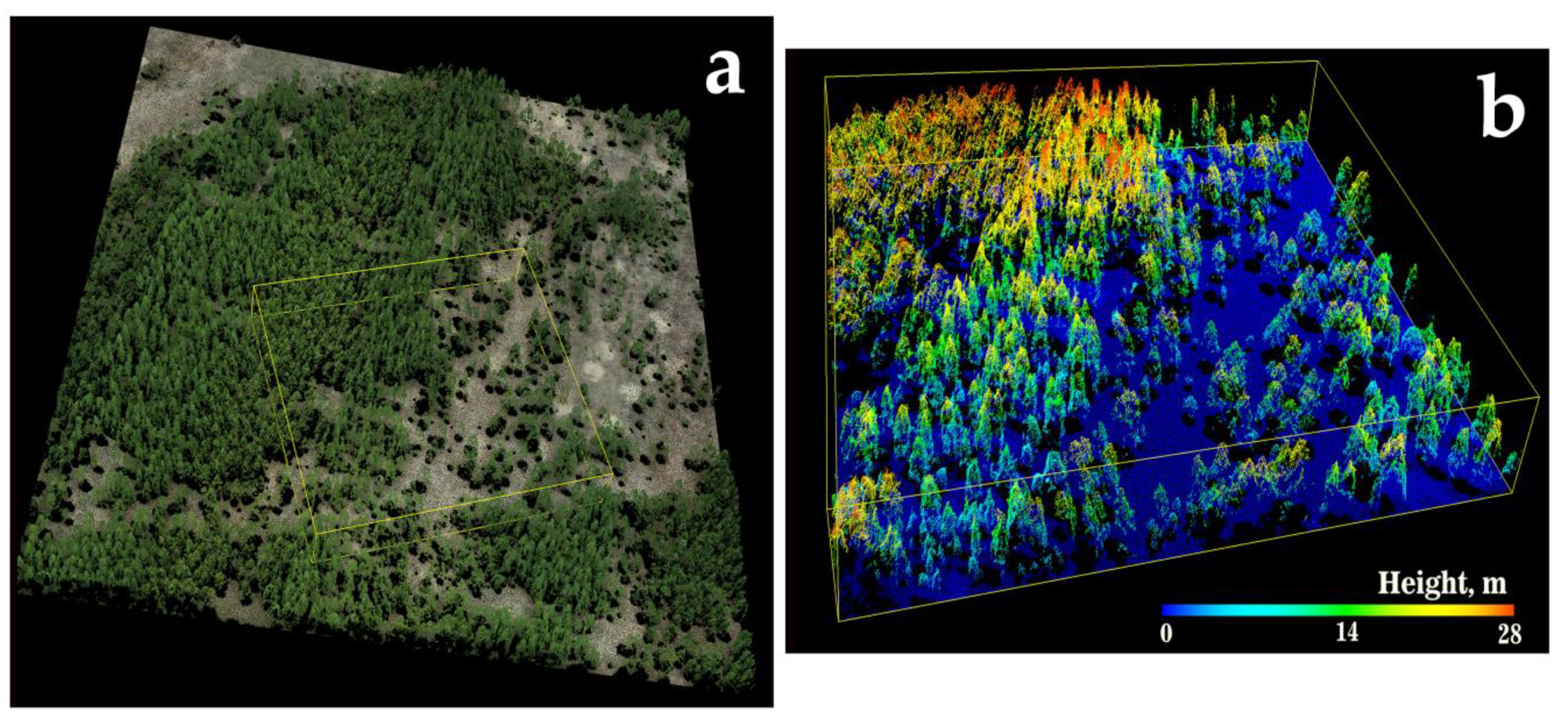 Forests 14 02392 g002