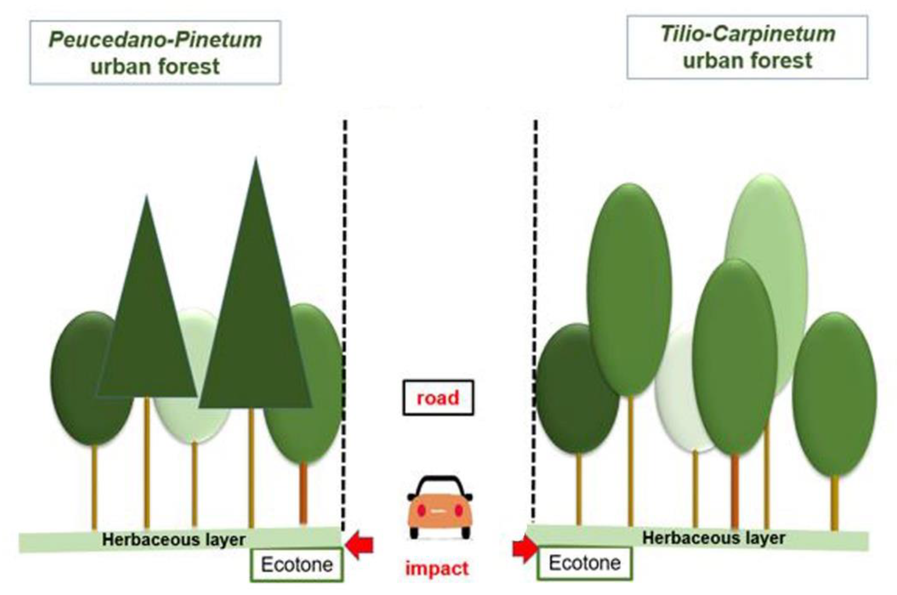 Forests 14 02401 g002 Forests 14 02401 g002