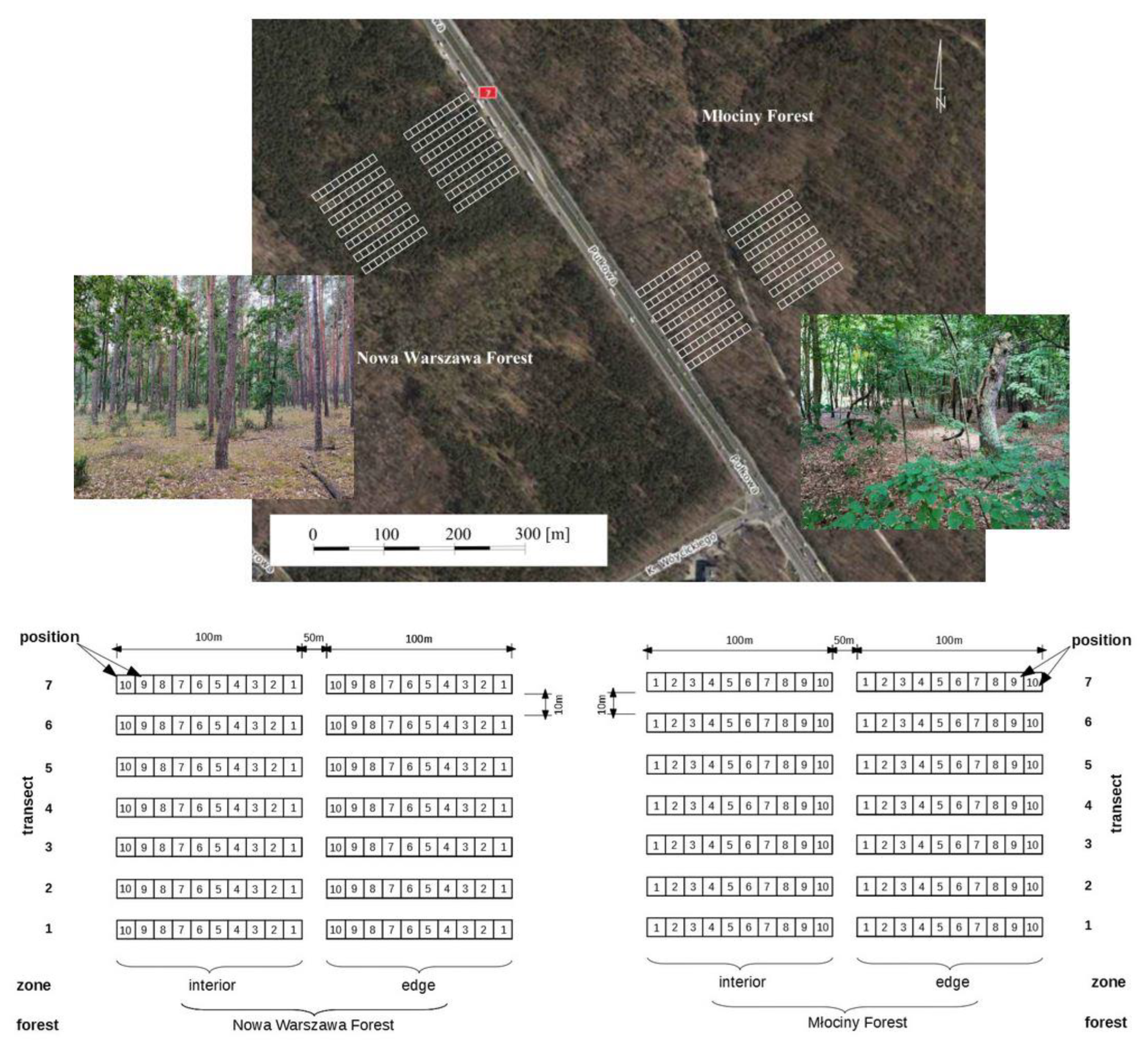 Forests 14 02401 g003 Forests 14 02401 g003