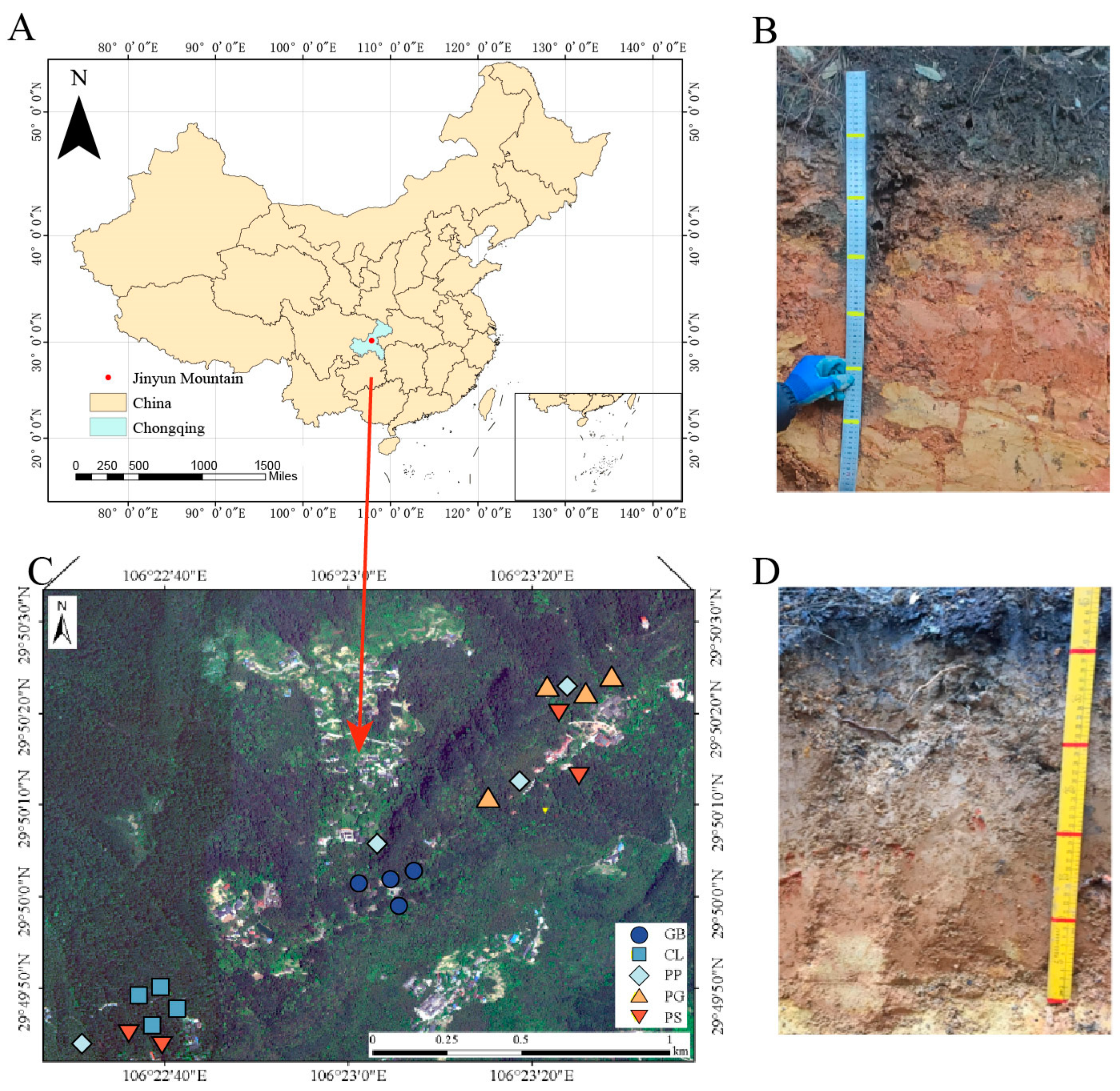 Forests 14 02402 g001
