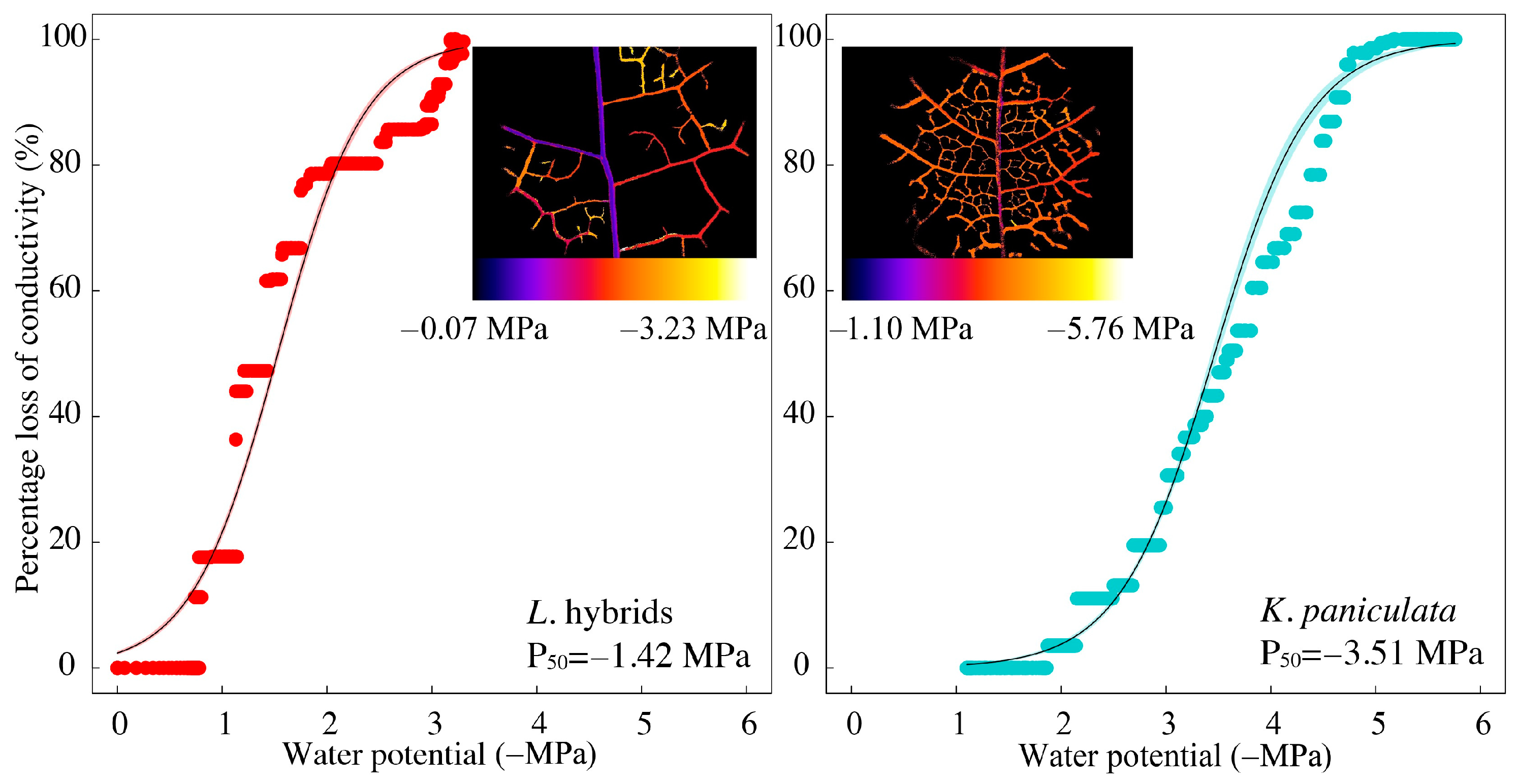 Forests 14 02415 g001