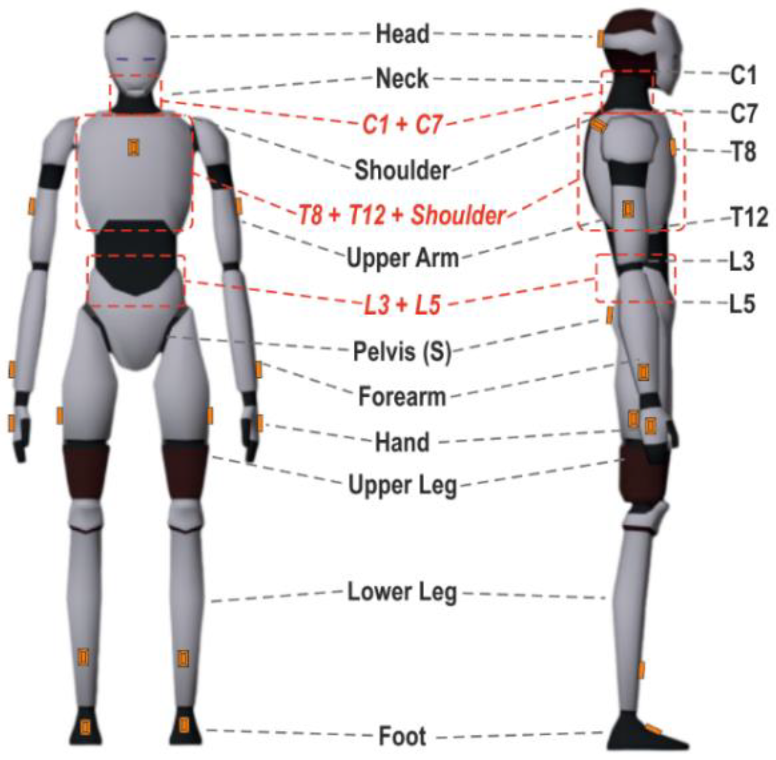 Forests 14 02427 g001