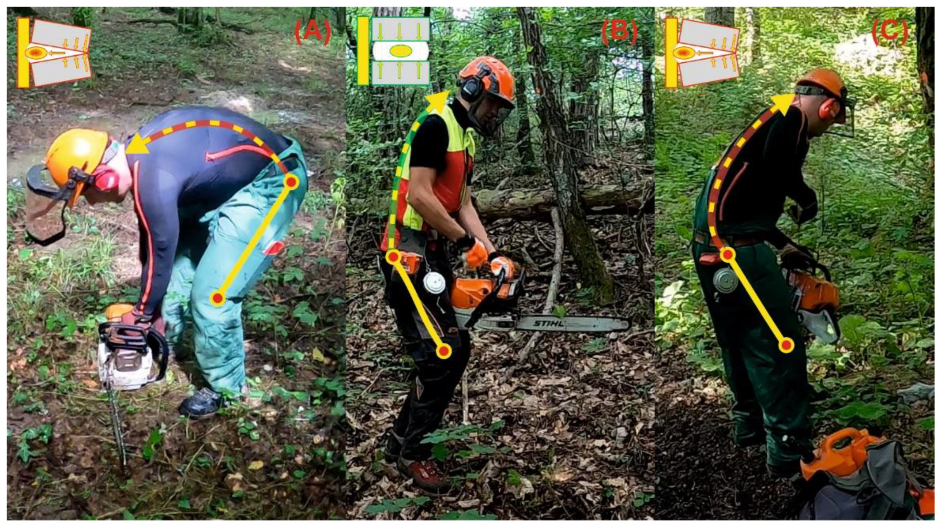 Forests 14 02427 g003