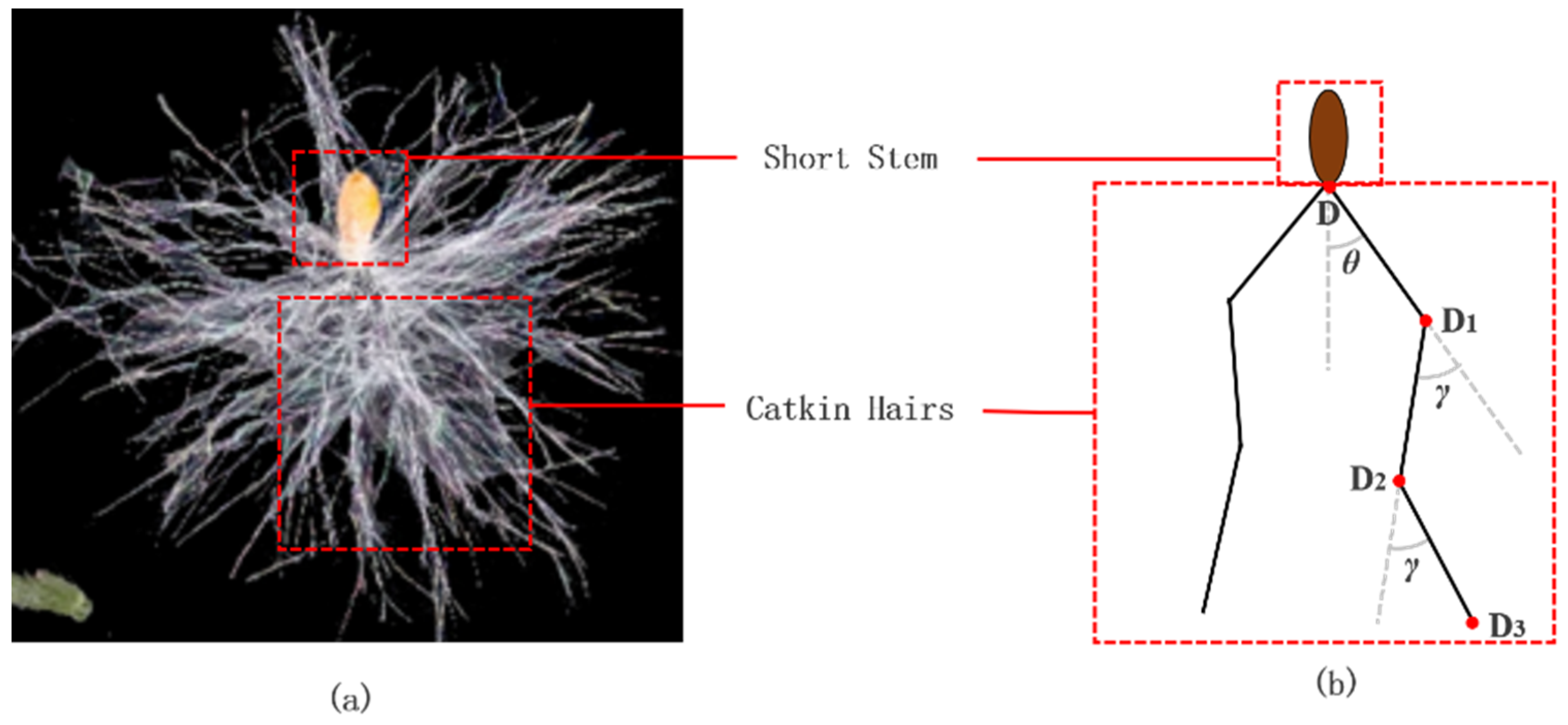 Forests 14 02431 g002