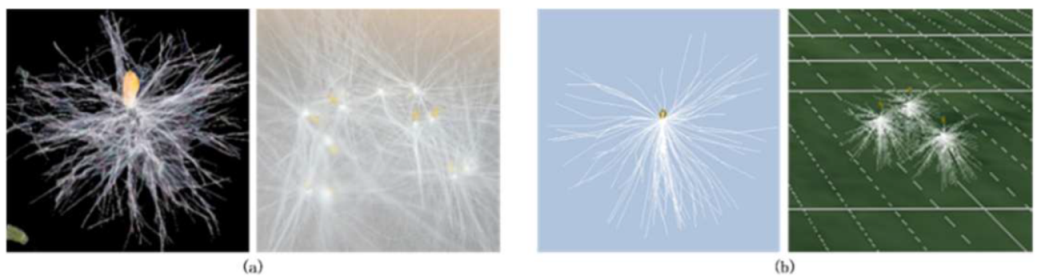 Forests 14 02431 i002