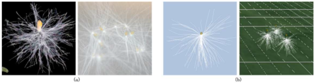 Forests 14 02431 i005