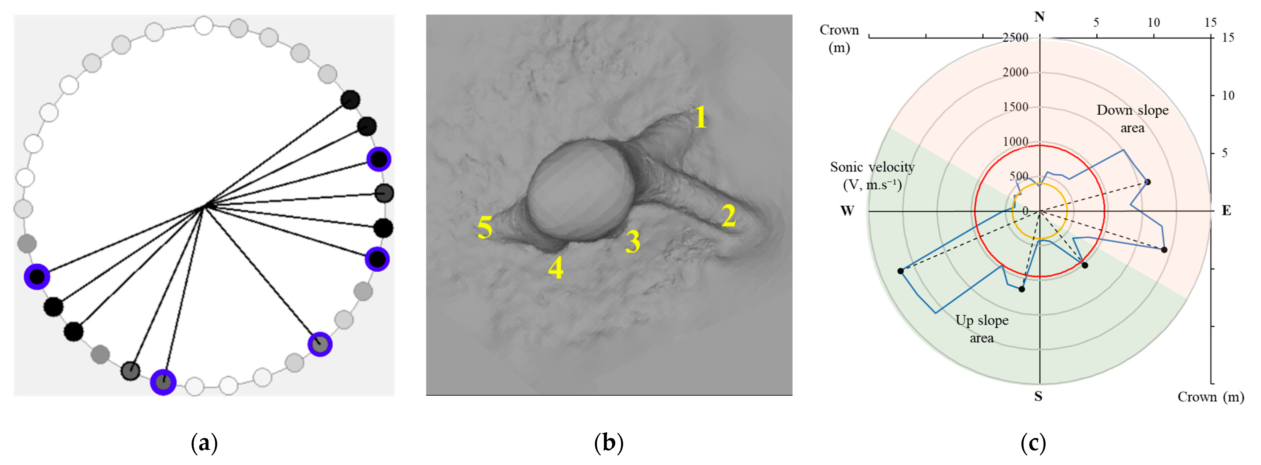 Forests 14 02434 g003