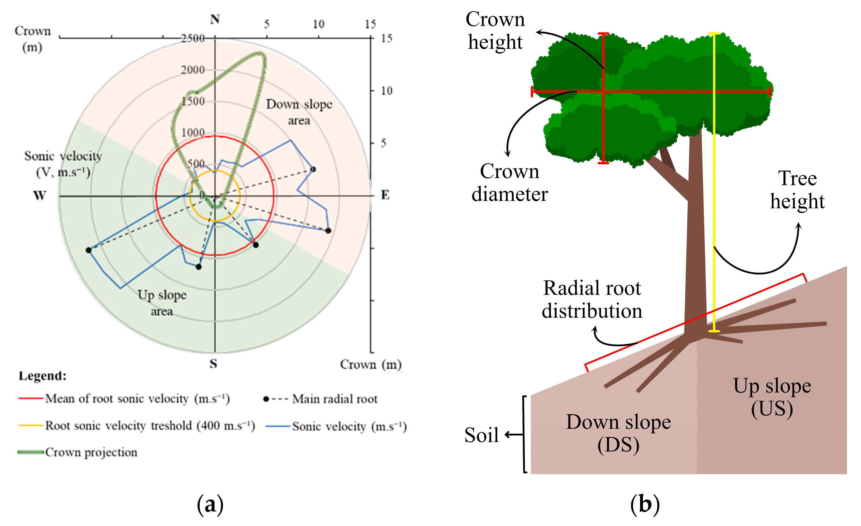 Forests 14 02434 g004