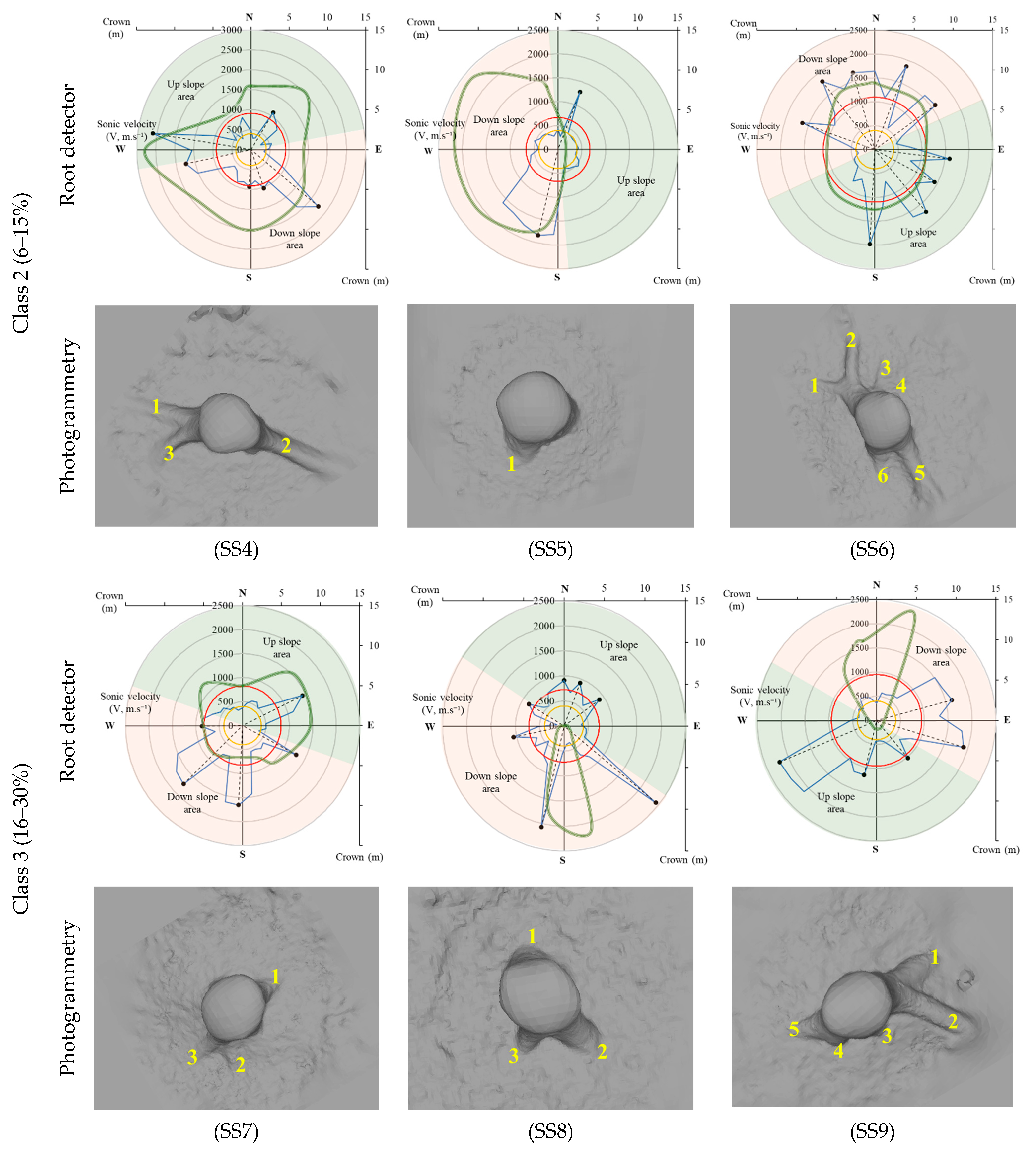 Forests 14 02434 g006b