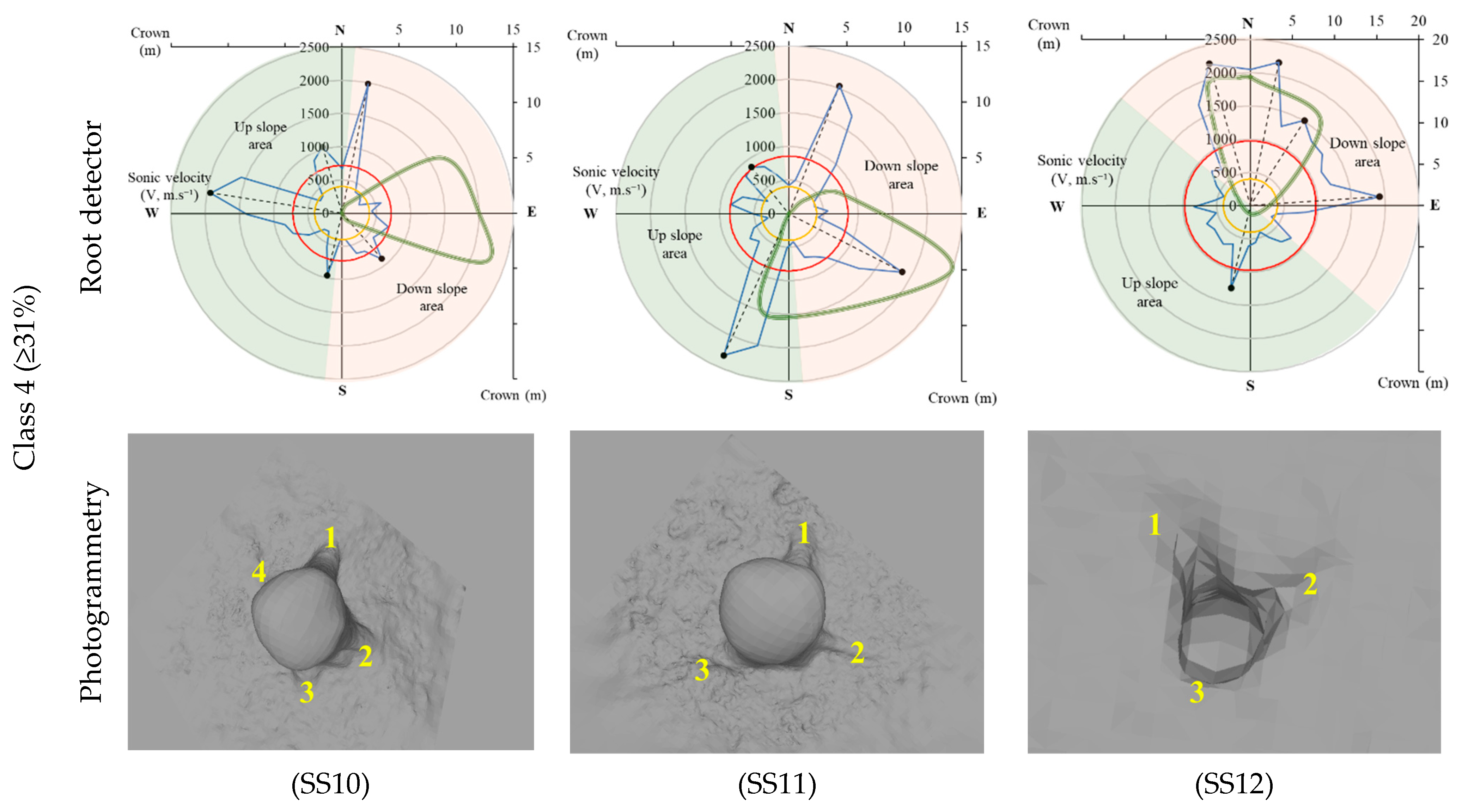 Forests 14 02434 g006c