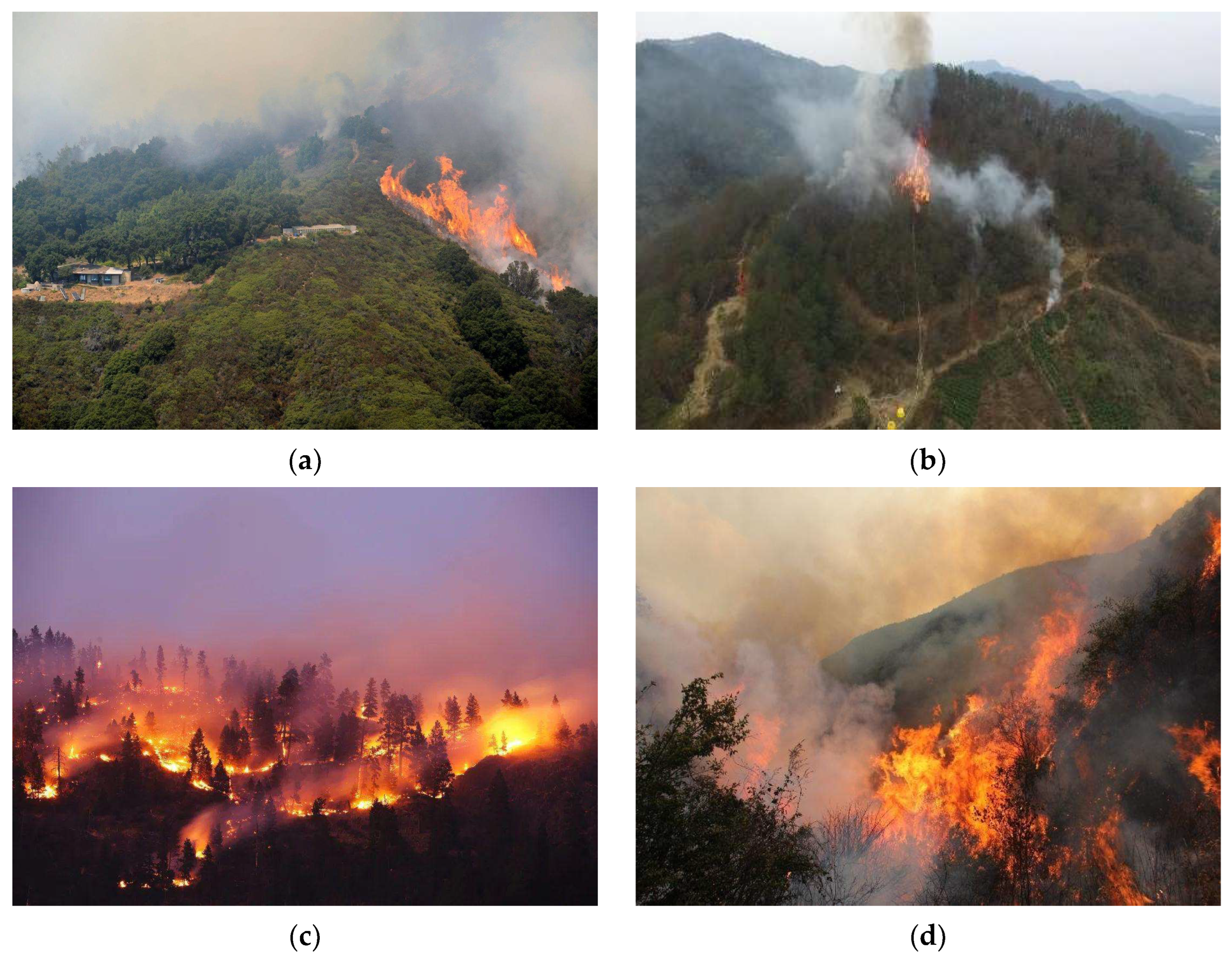 Forests 14 02440 g005