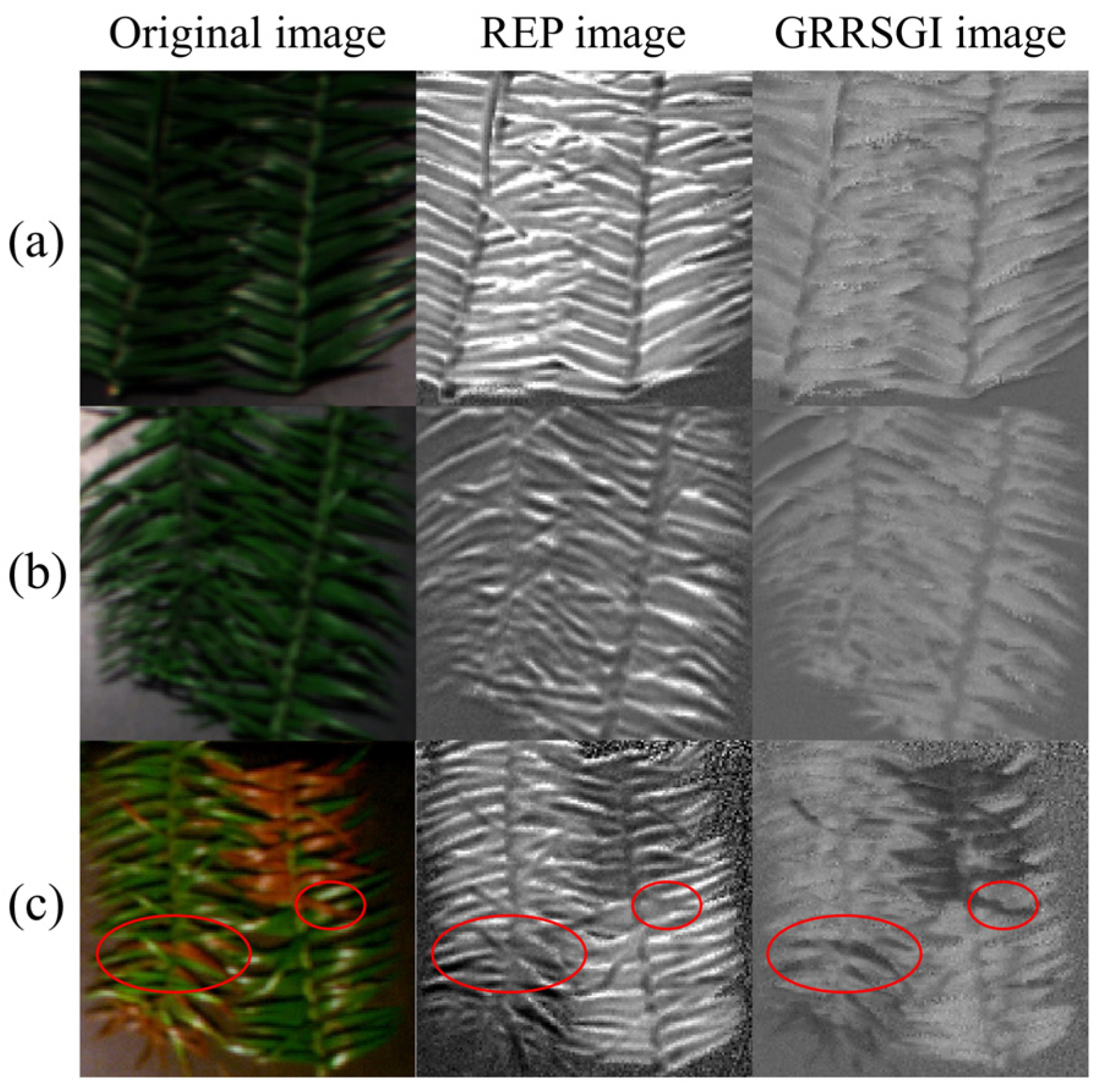 Forests 14 02444 g004
