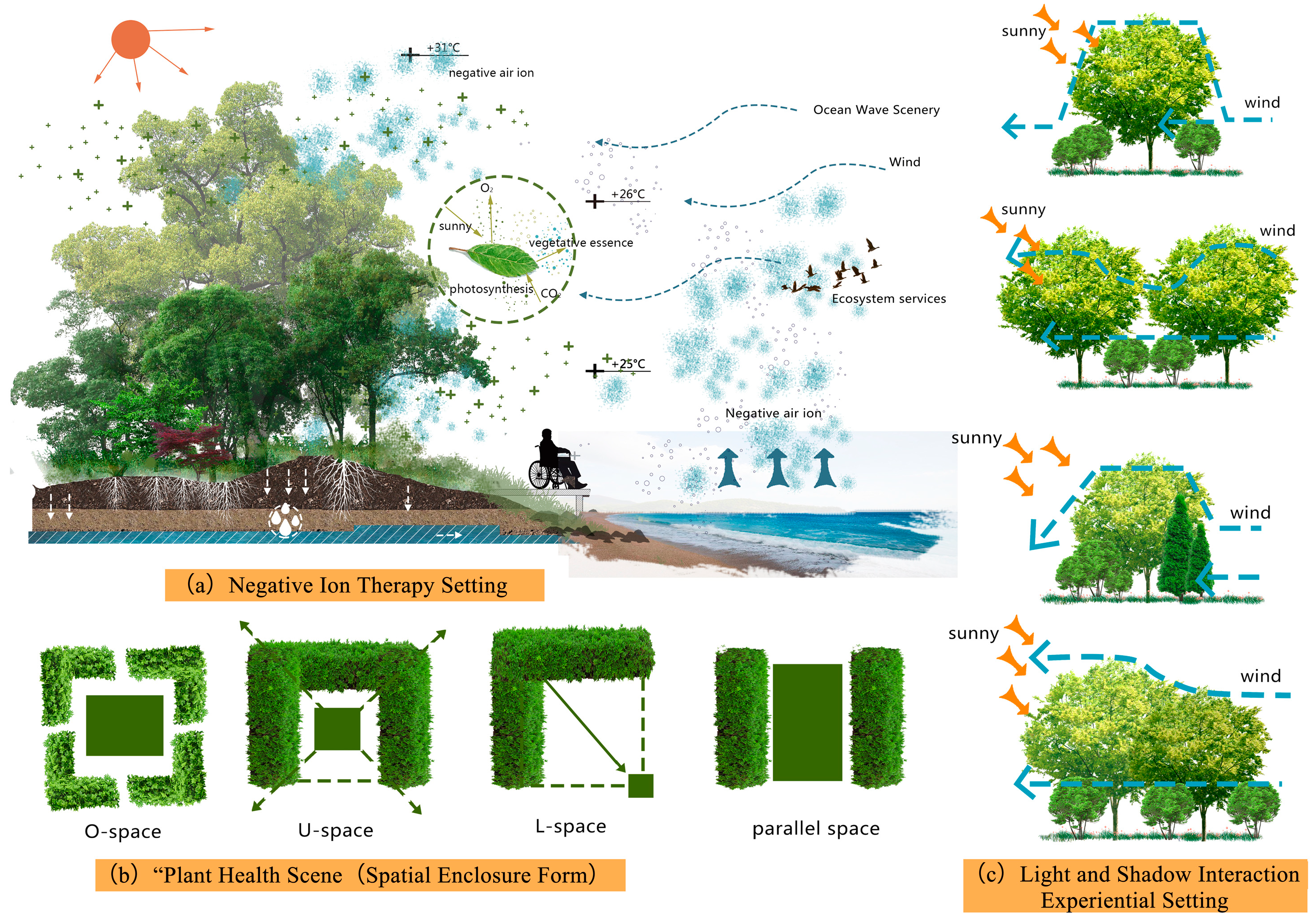 Forests 14 02463 g010