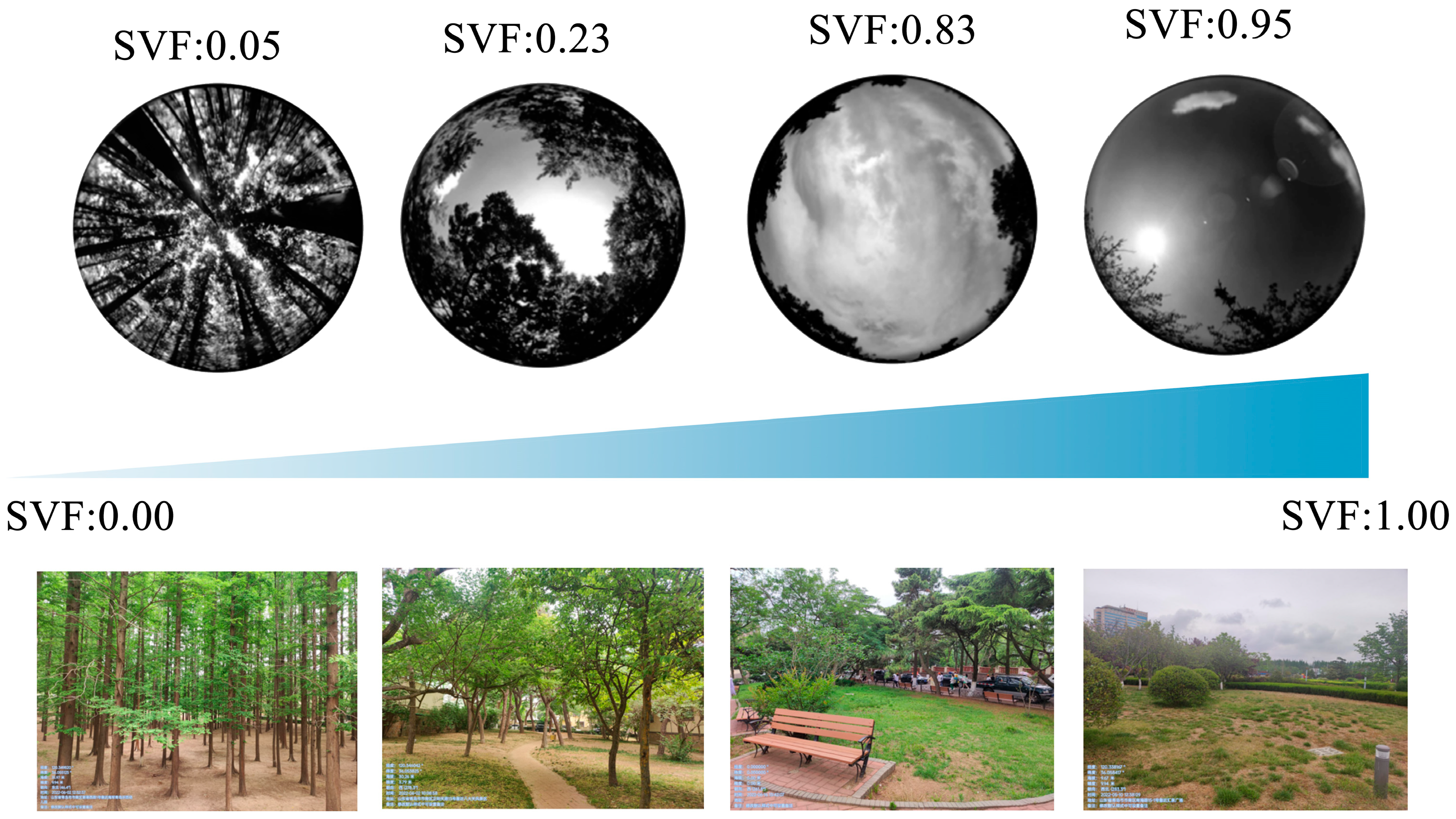 Forests 14 02463 g0a1