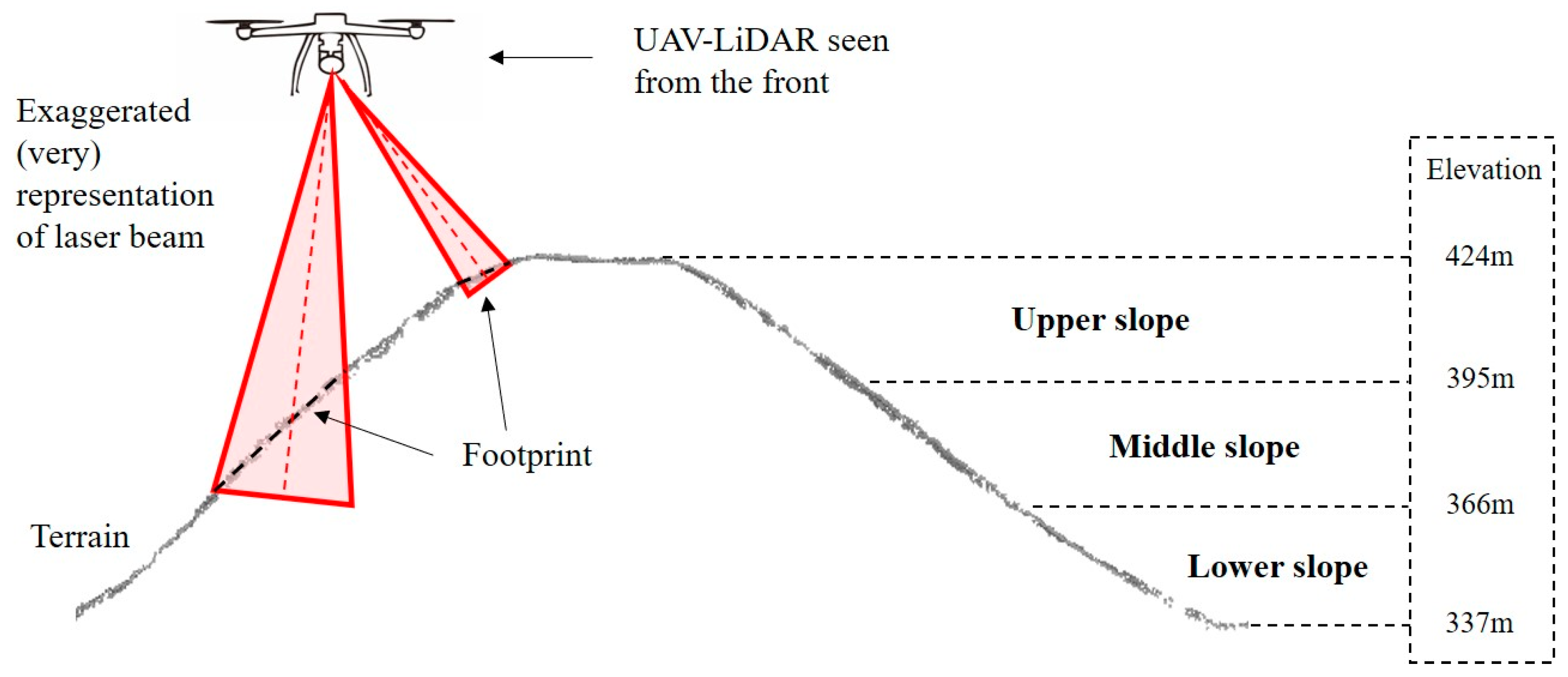 Forests 15 00017 g003