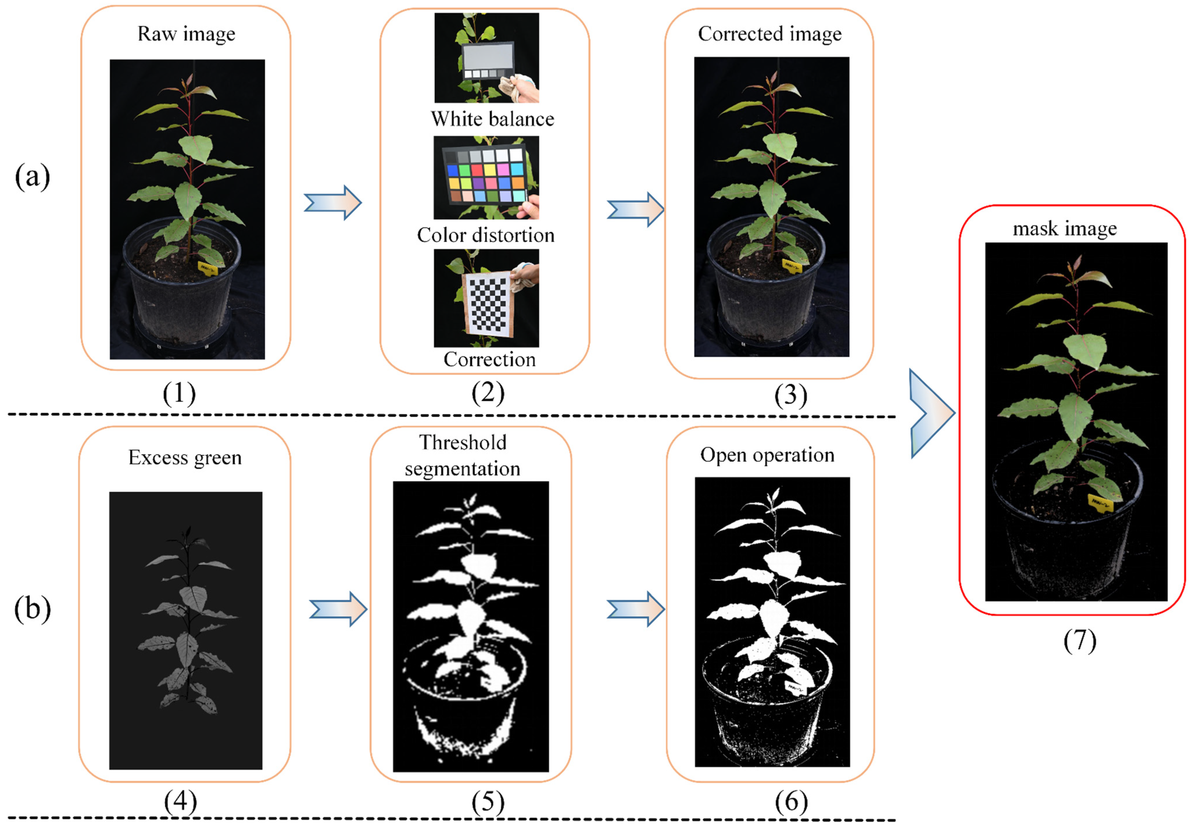 Forests 15 00020 g002