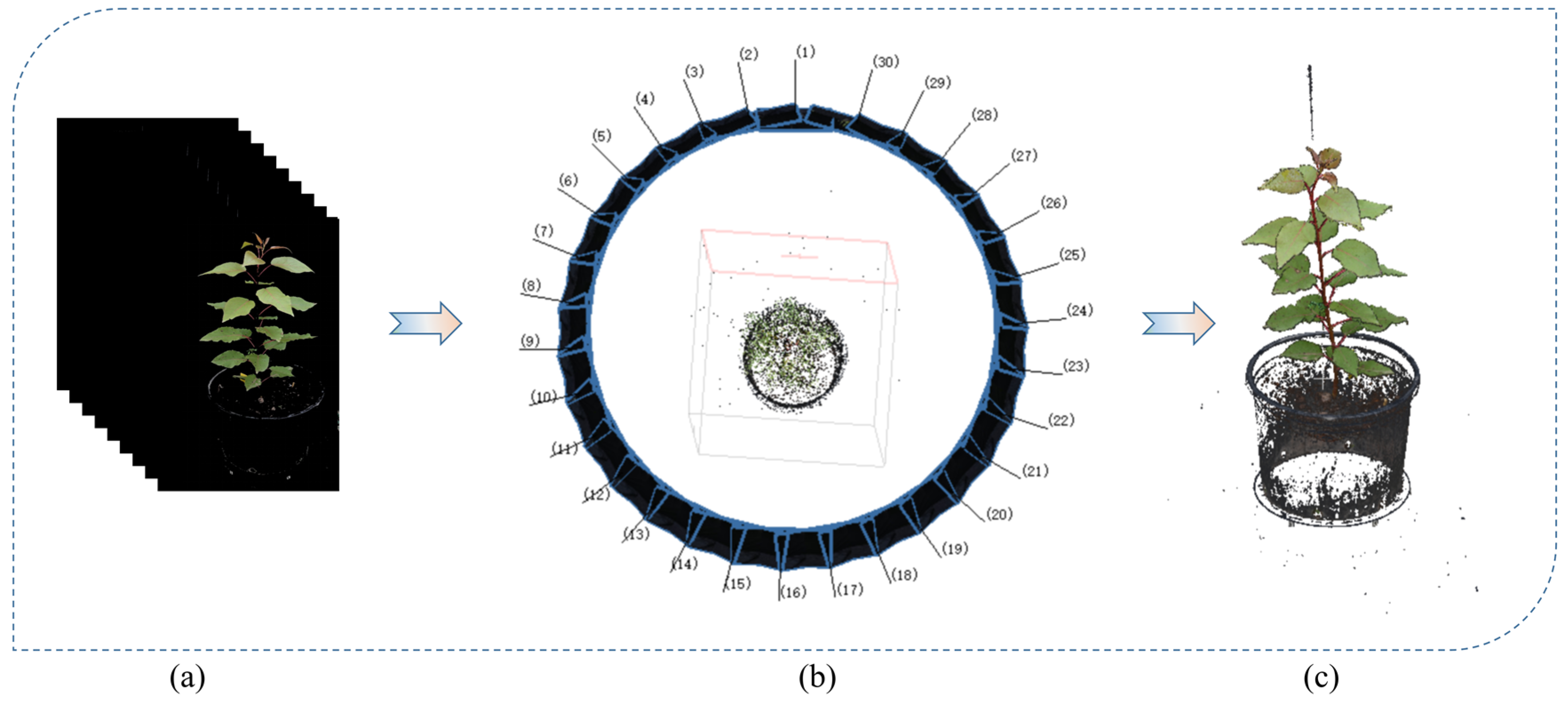 Forests 15 00020 g003