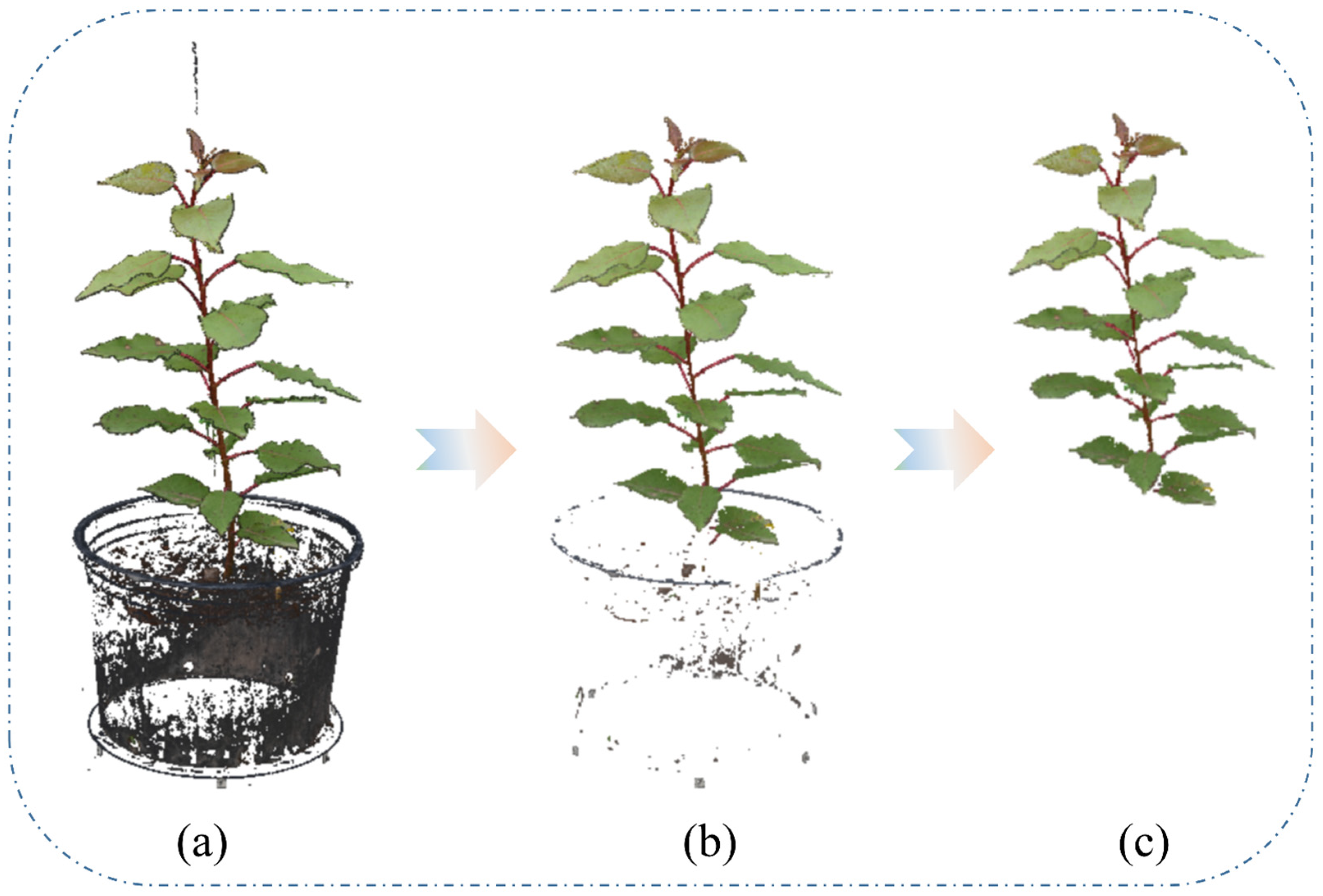 Forests 15 00020 g004