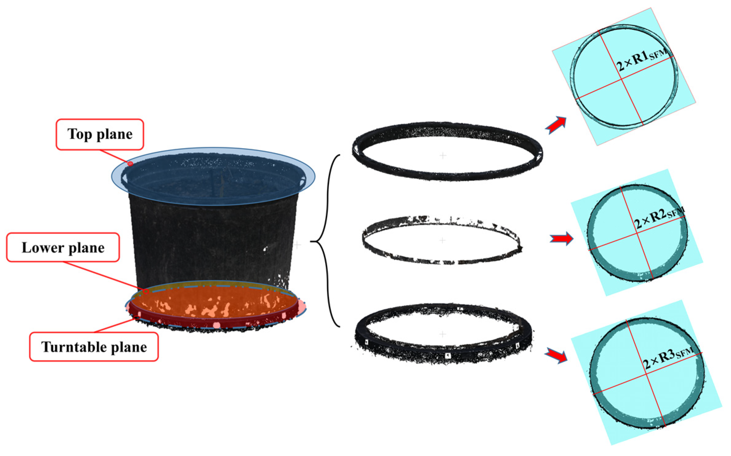 Forests 15 00020 g005