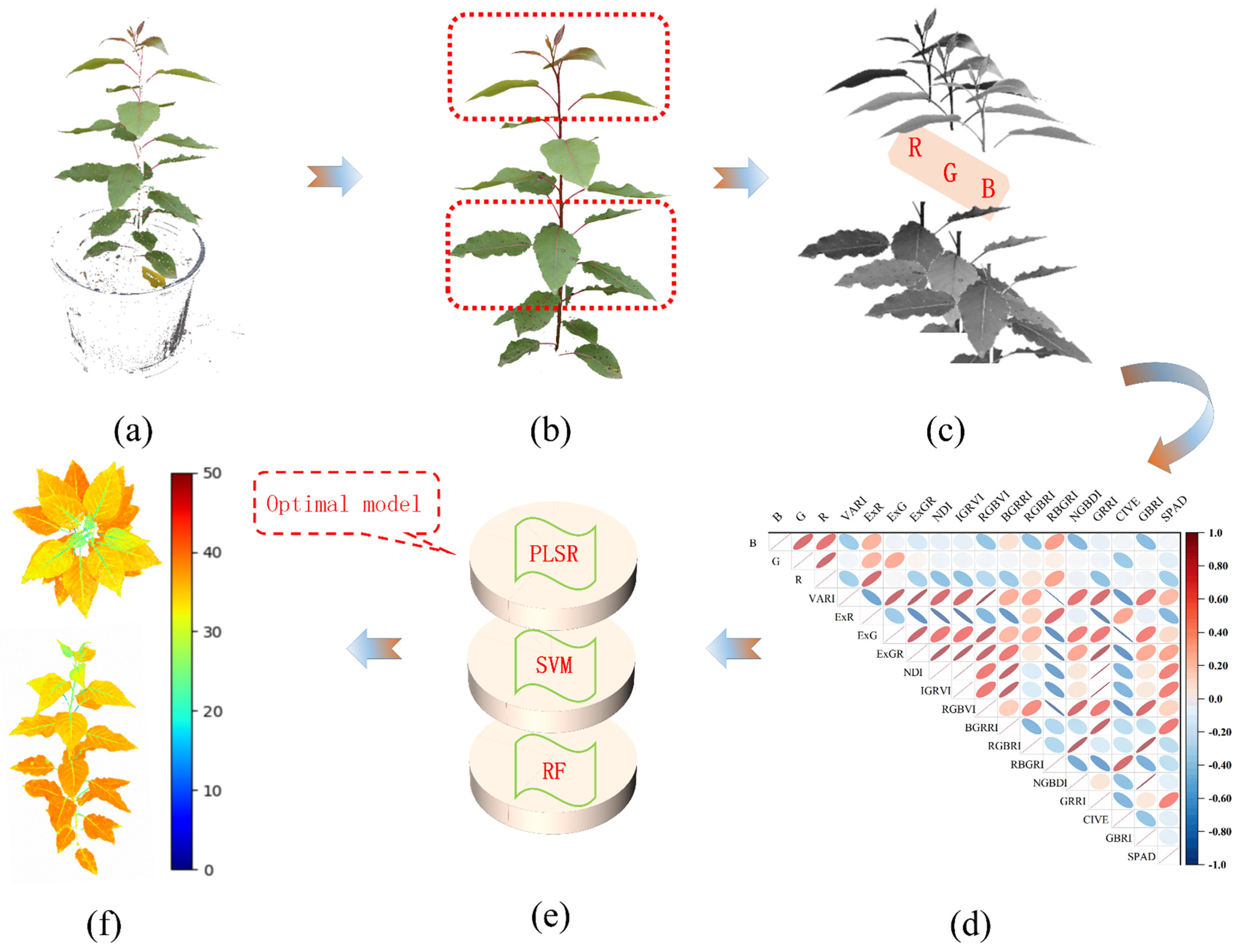 Forests 15 00020 g006
