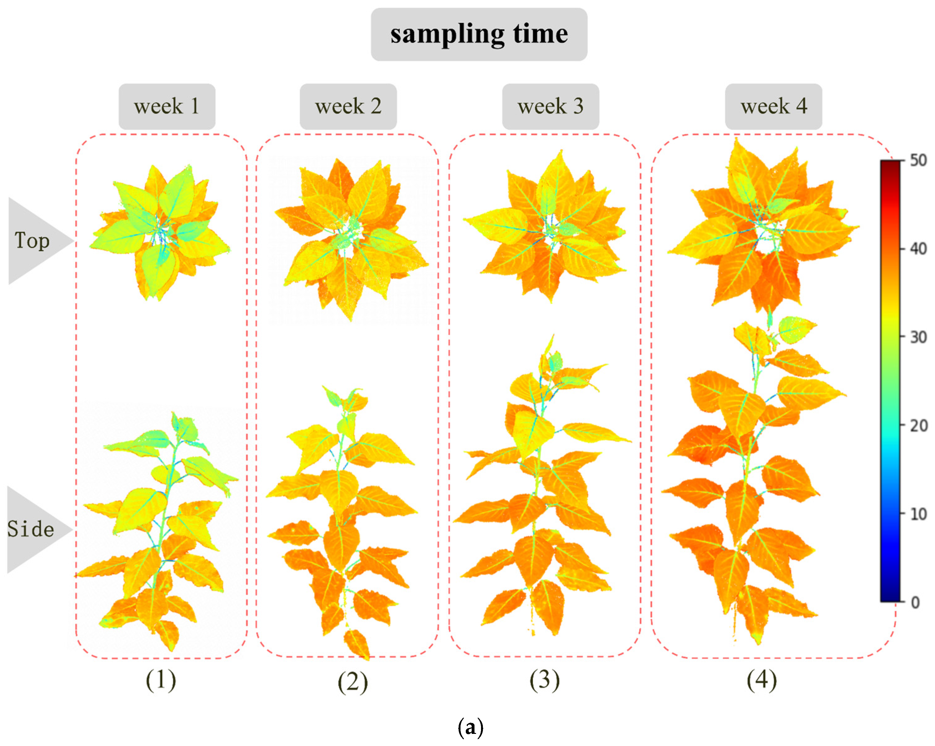 Forests 15 00020 g009a