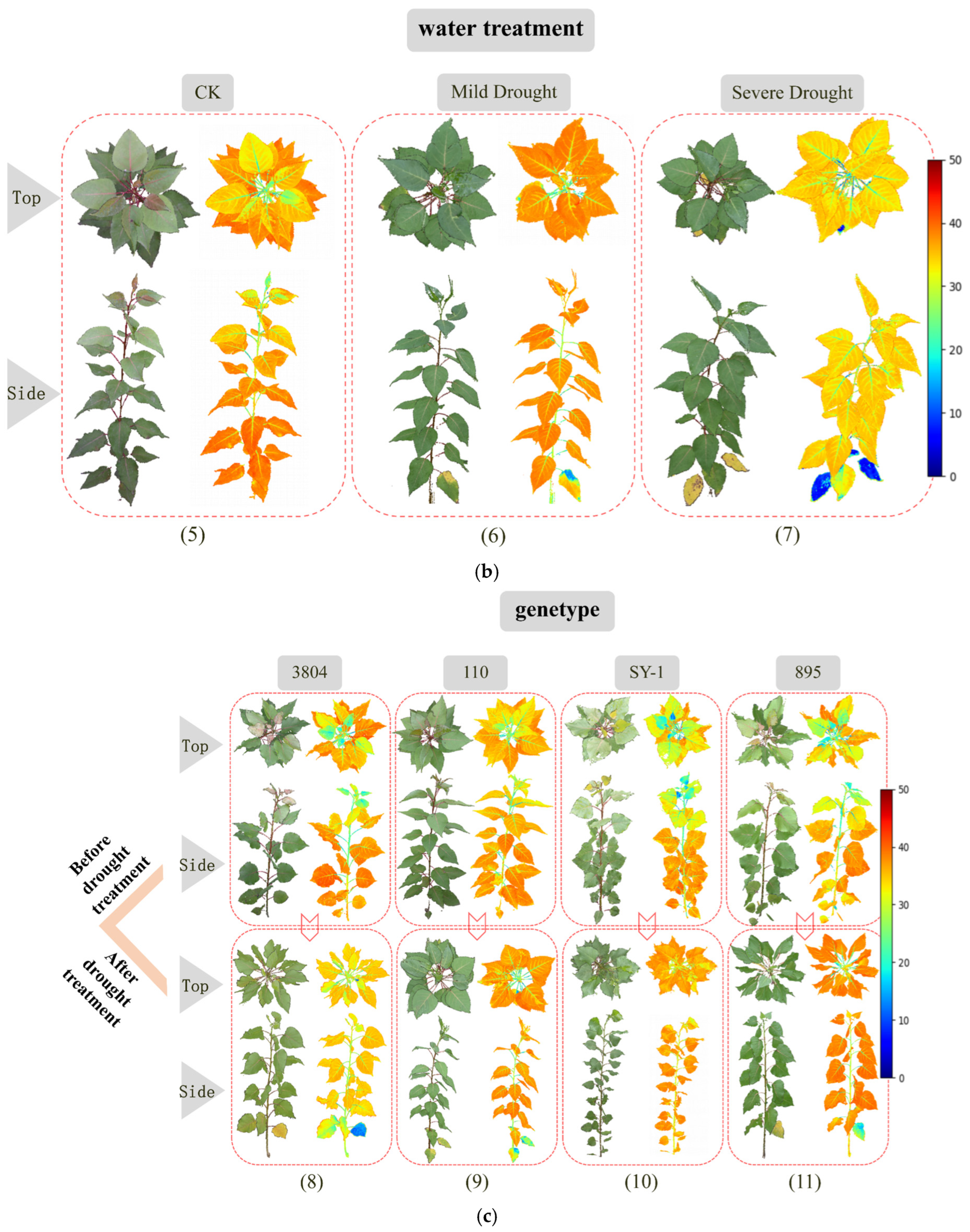 Forests 15 00020 g009b