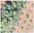 Forests 15 00061 i007