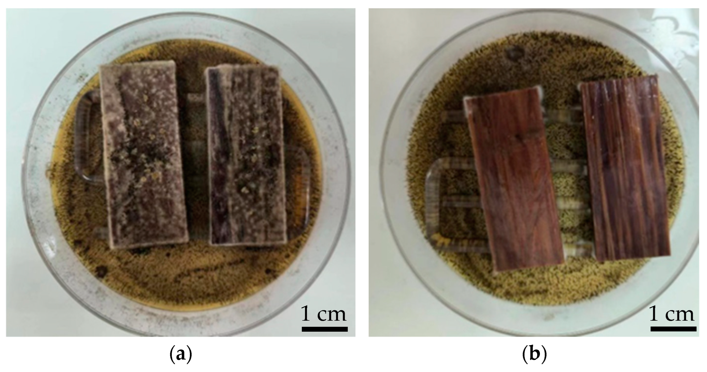 Forests 15 00079 g007