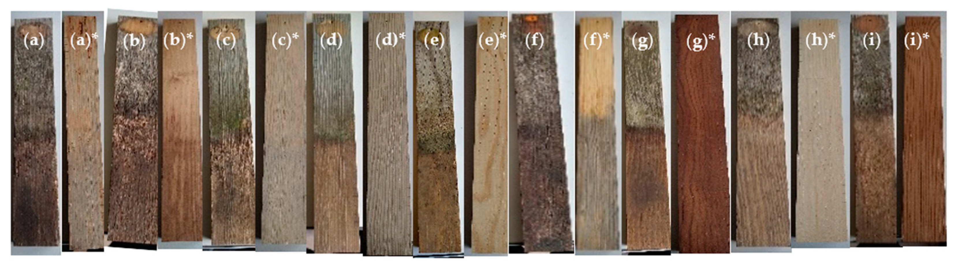 Forests 15 00080 g010 Forests 15 00080 g010
