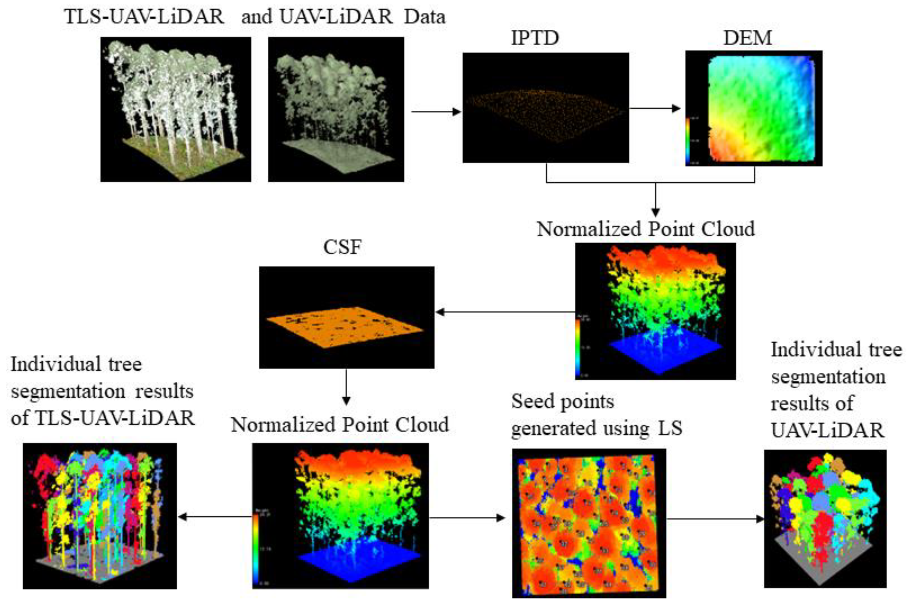 Forests 15 00081 g004