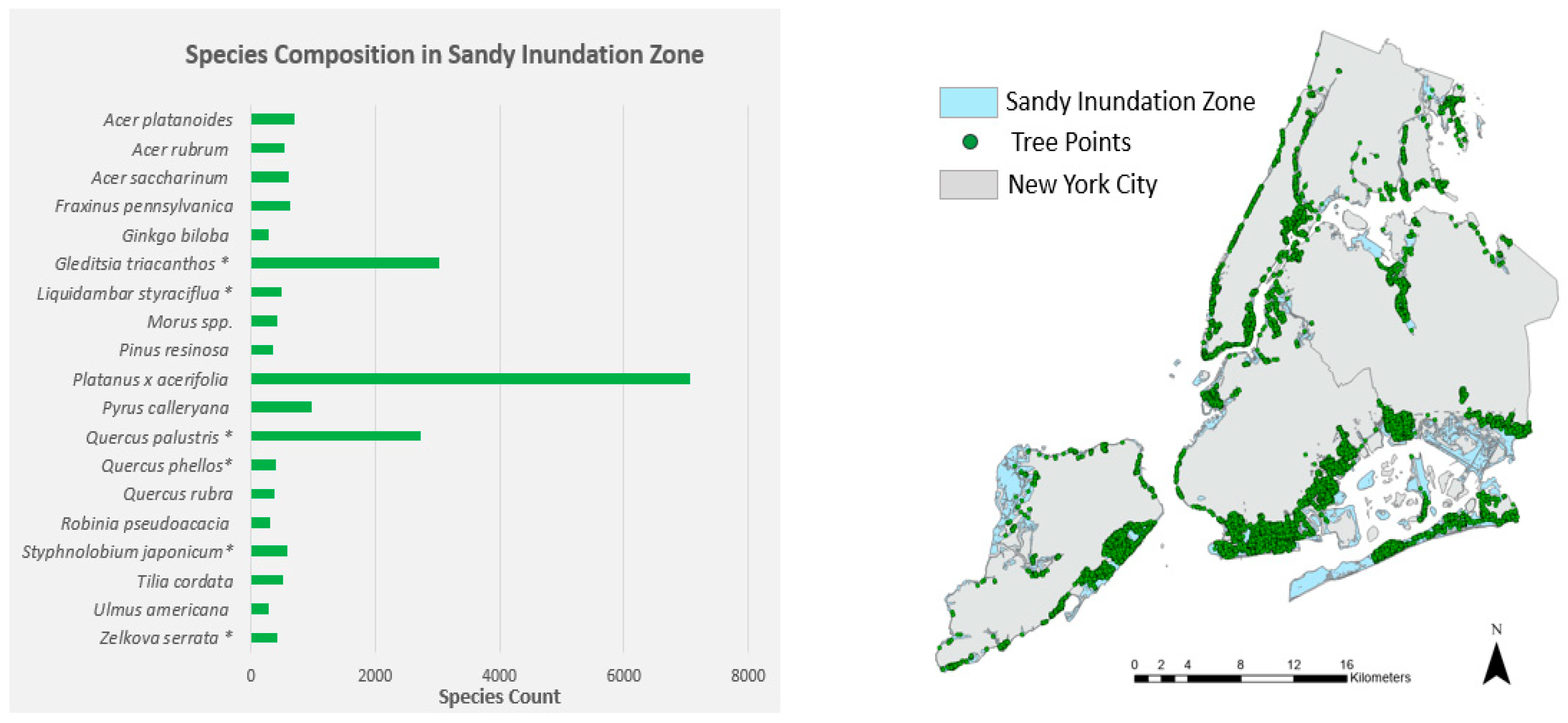 Forests 15 00092 g004